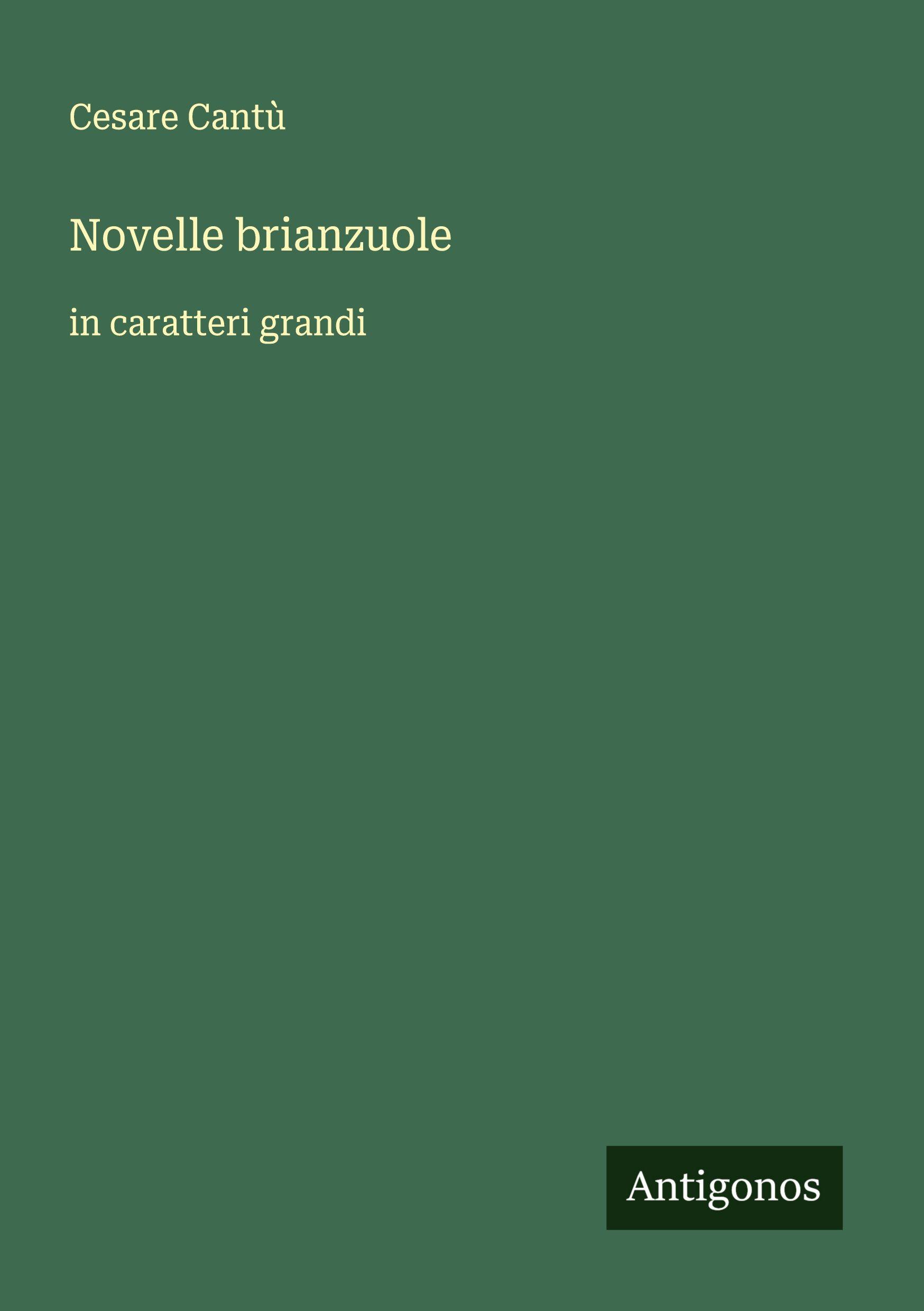 Vorderes Coverbild Novelle brianzuole