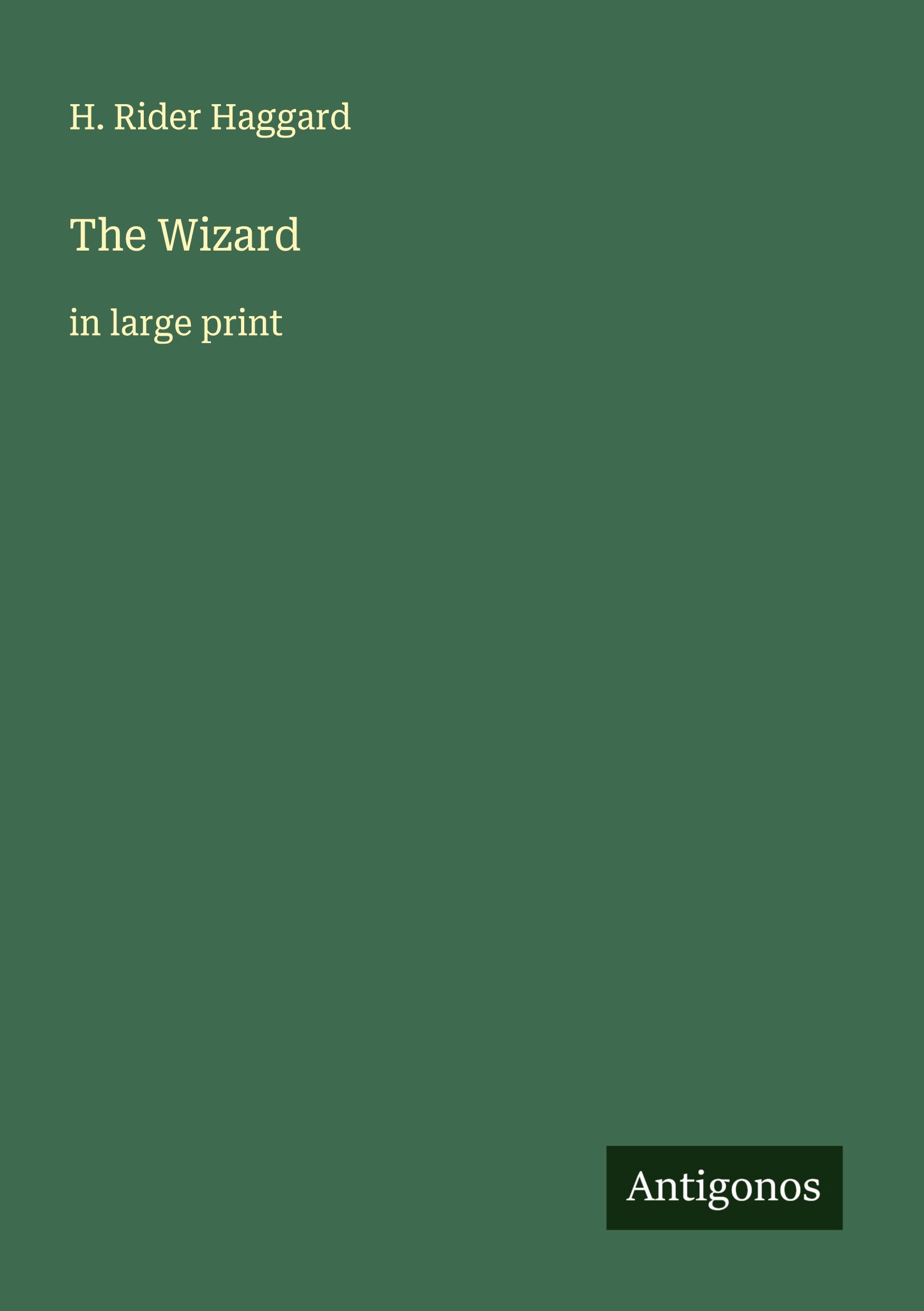Vorderes Coverbild The Wizard