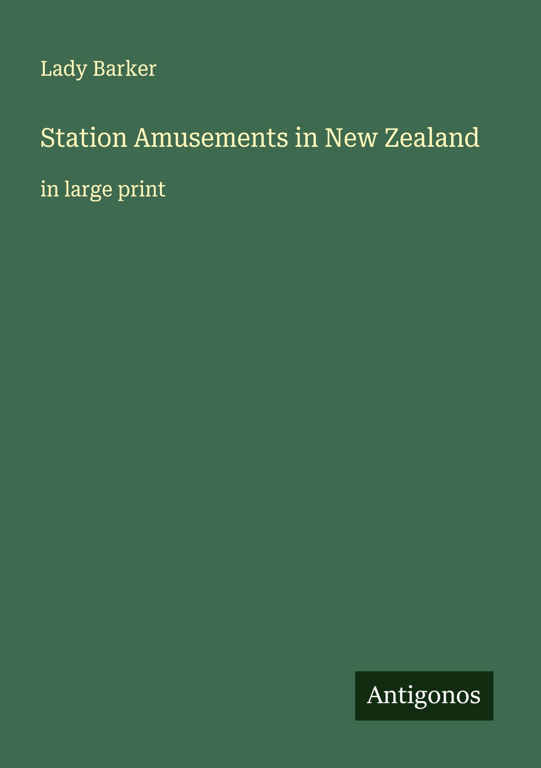 Vorderes Coverbild Station Amusements in New Zealand