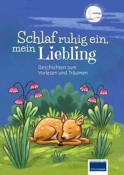 Vorderes Coverbild Schlaf ruhig ein, mein Liebling