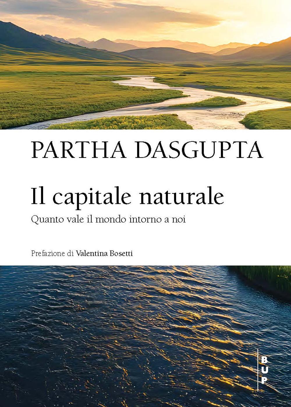 Vorderes Coverbild Il capitale naturale. Quanto vale il mondo intorno a noi