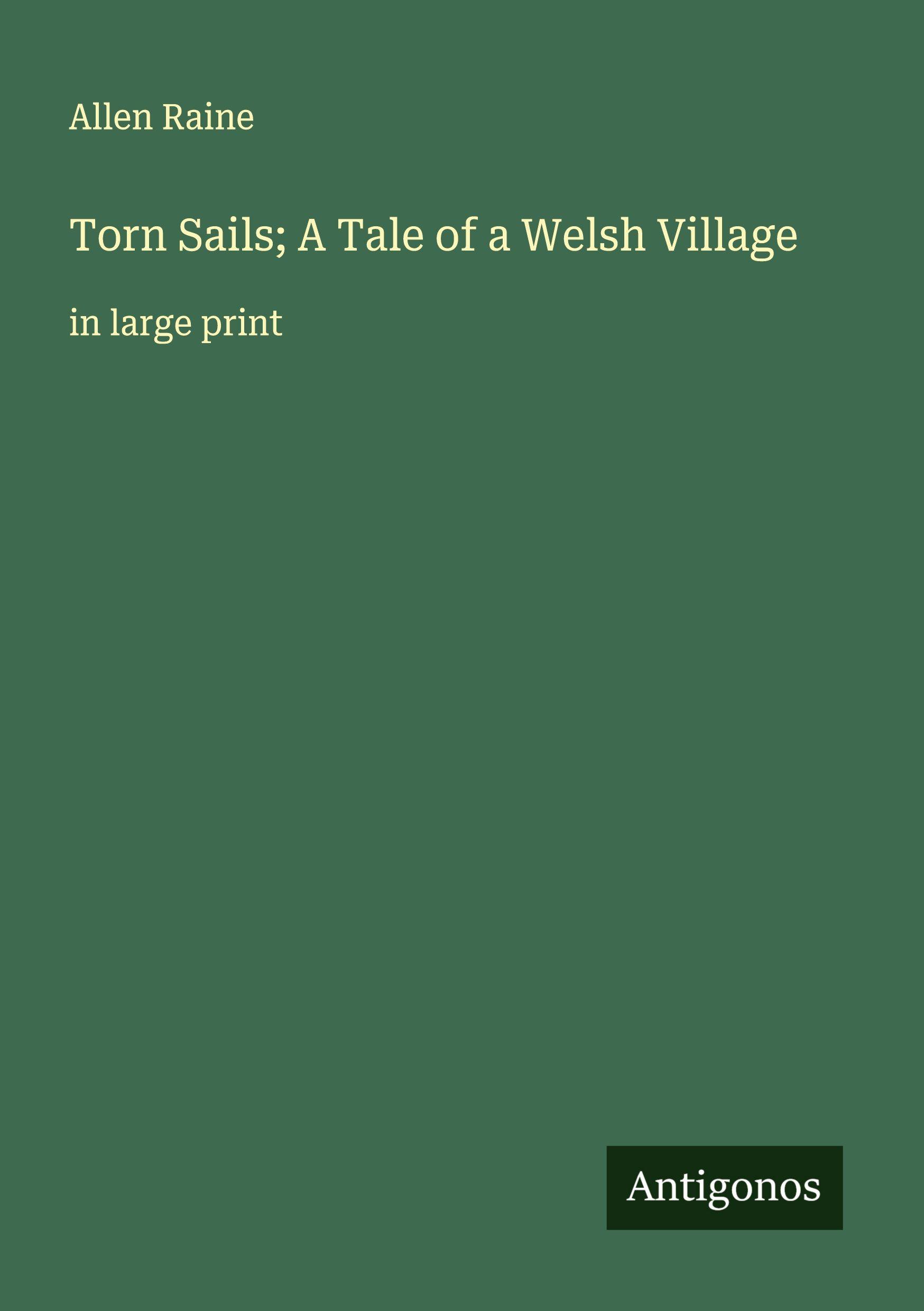 Vorderes Coverbild Torn Sails; A Tale of a Welsh Village