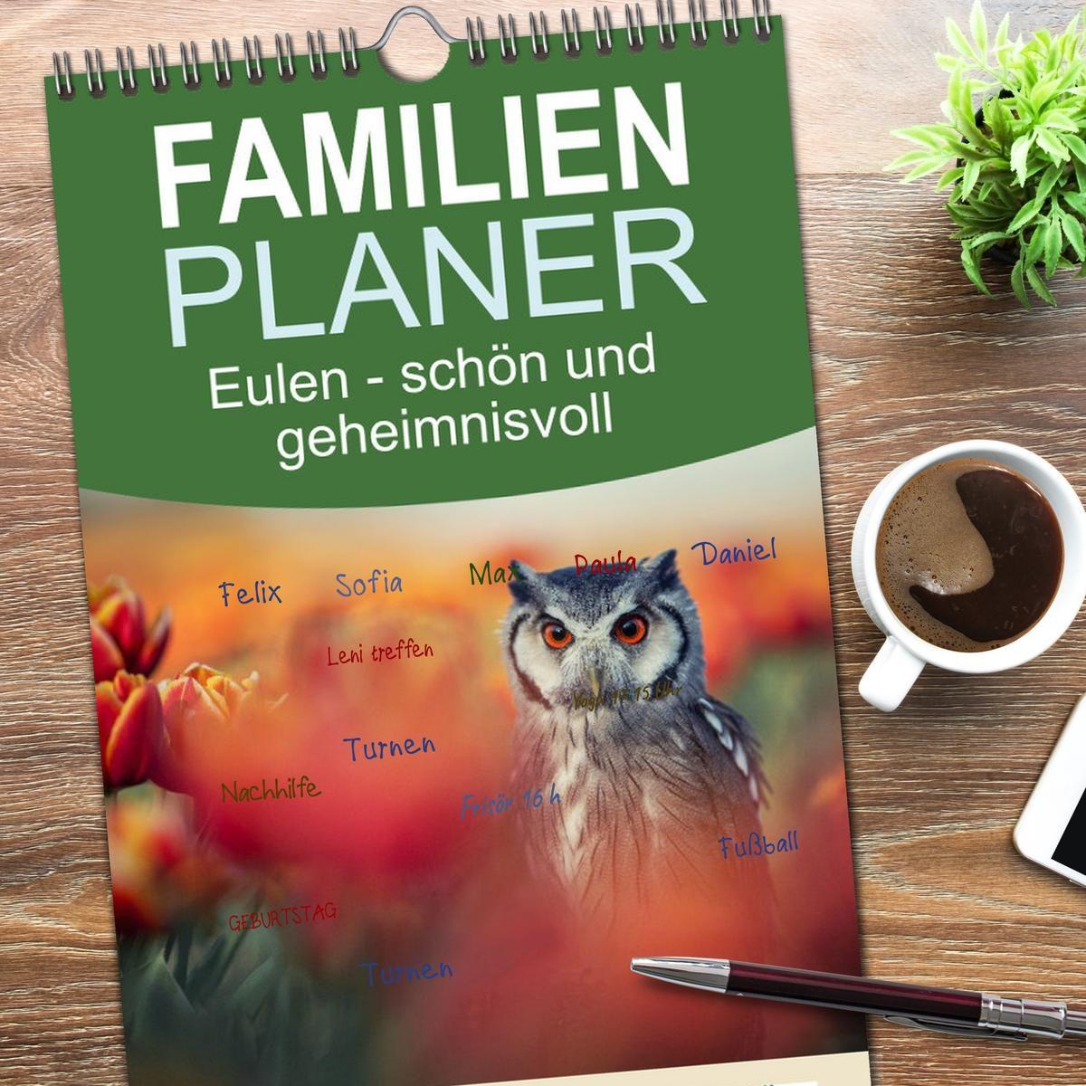 Beispielinhalt (Bild) Familienplaner 2026 - Eulen - schön und geheimnisvoll mit 5 Spalten (Wandkalender, 21 x 45 cm) CALVENDO