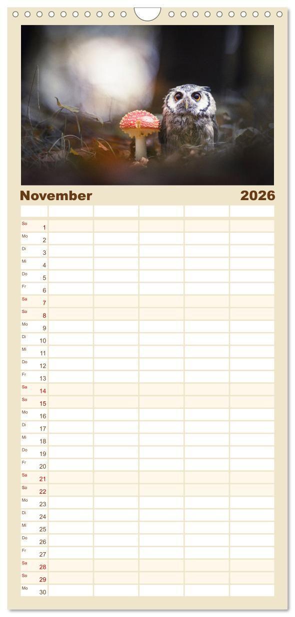 Beispielinhalt (Bild) Familienplaner 2026 - Eulen - schön und geheimnisvoll mit 5 Spalten (Wandkalender, 21 x 45 cm) CALVENDO