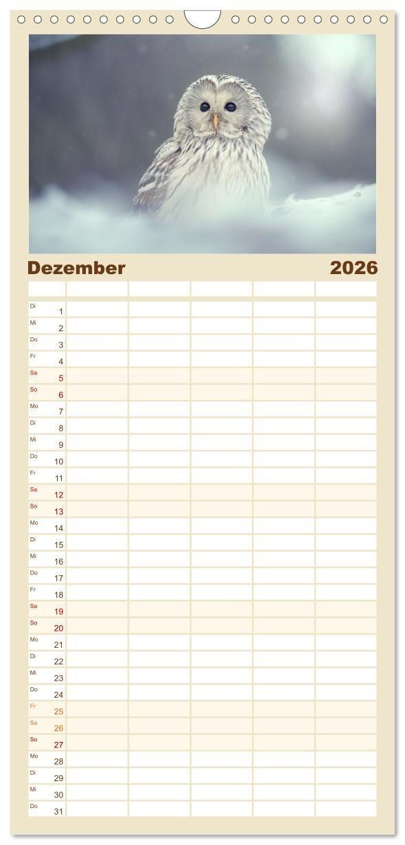 Beispielinhalt (Bild) Familienplaner 2026 - Eulen - schön und geheimnisvoll mit 5 Spalten (Wandkalender, 21 x 45 cm) CALVENDO