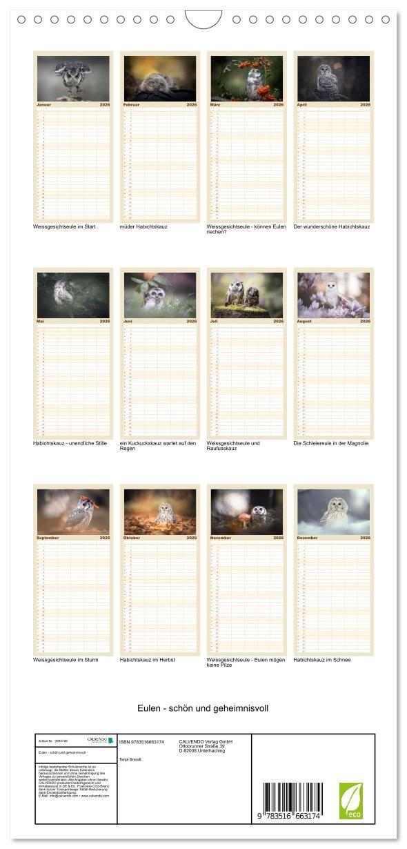 Beispielinhalt (Bild) Familienplaner 2026 - Eulen - schön und geheimnisvoll mit 5 Spalten (Wandkalender, 21 x 45 cm) CALVENDO