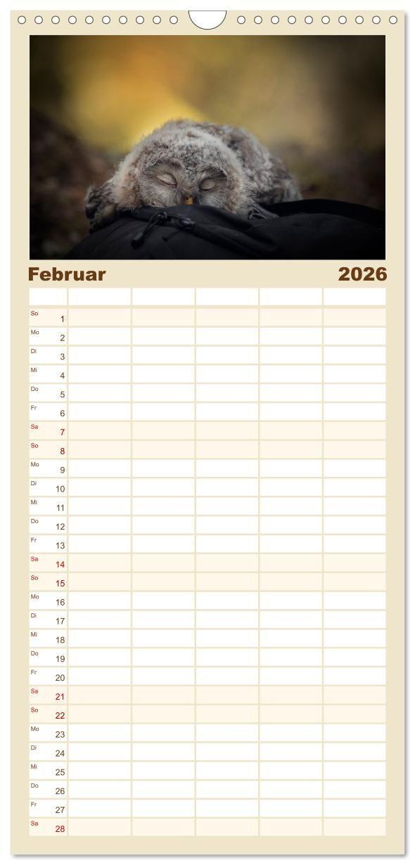 Beispielinhalt (Bild) Familienplaner 2026 - Eulen - schön und geheimnisvoll mit 5 Spalten (Wandkalender, 21 x 45 cm) CALVENDO