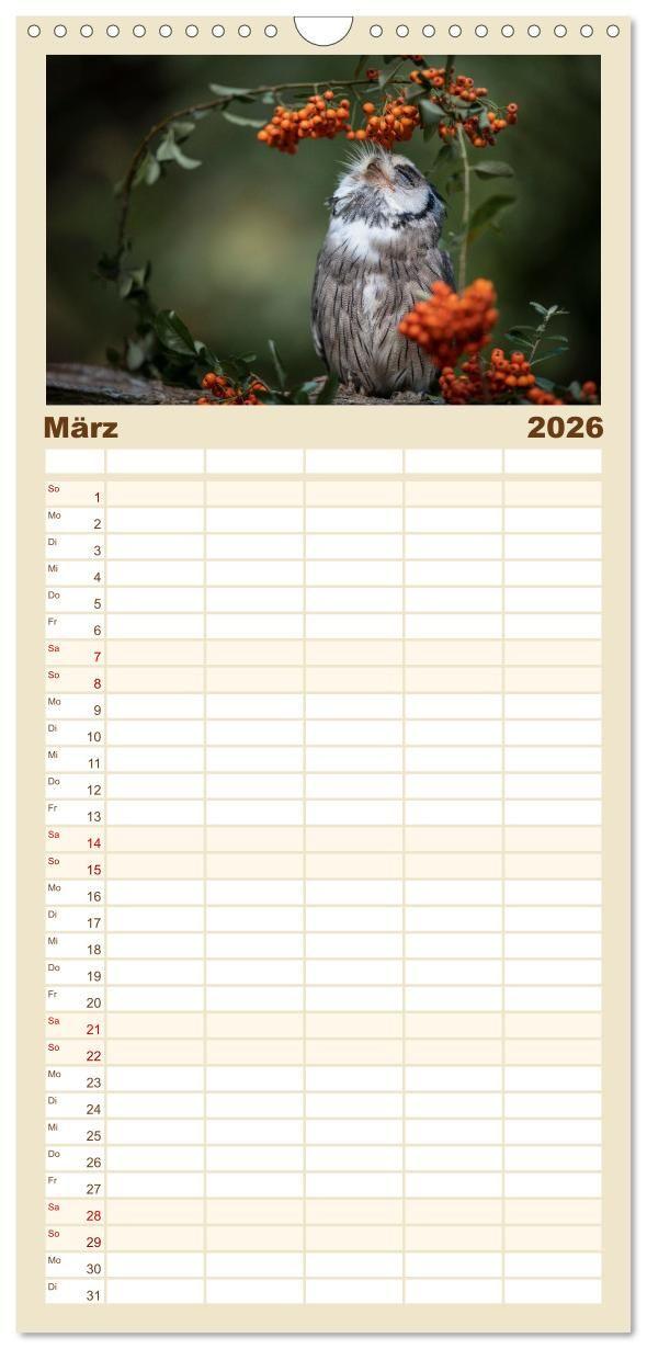 Beispielinhalt (Bild) Familienplaner 2026 - Eulen - schön und geheimnisvoll mit 5 Spalten (Wandkalender, 21 x 45 cm) CALVENDO