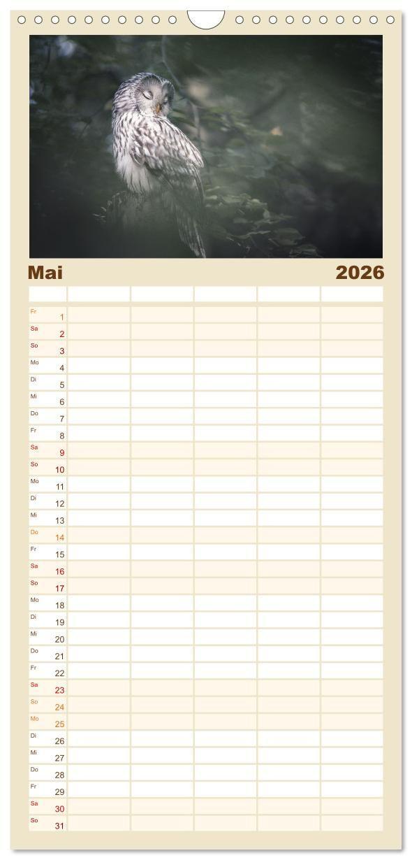 Beispielinhalt (Bild) Familienplaner 2026 - Eulen - schön und geheimnisvoll mit 5 Spalten (Wandkalender, 21 x 45 cm) CALVENDO