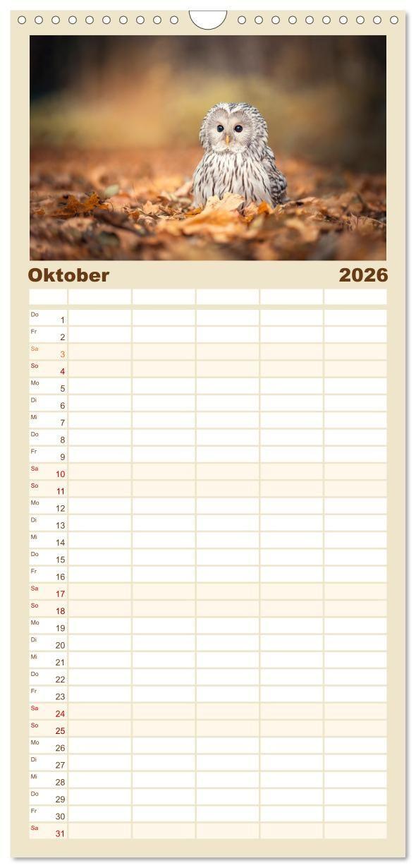 Beispielinhalt (Bild) Familienplaner 2026 - Eulen - schön und geheimnisvoll mit 5 Spalten (Wandkalender, 21 x 45 cm) CALVENDO