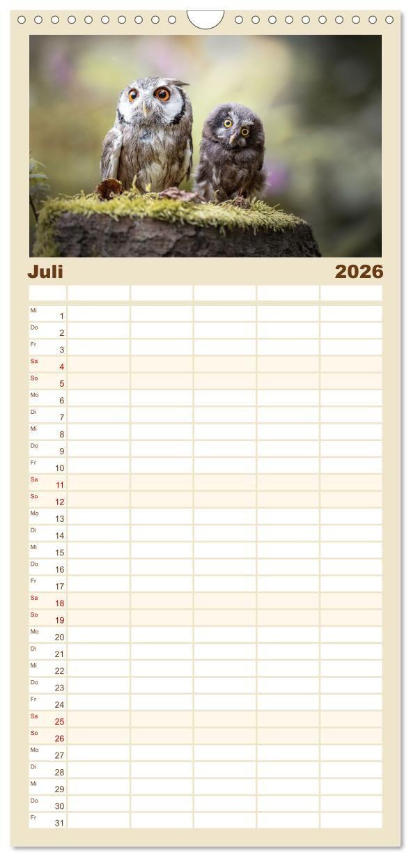 Beispielinhalt (Bild) Familienplaner 2026 - Eulen - schön und geheimnisvoll mit 5 Spalten (Wandkalender, 21 x 45 cm) CALVENDO