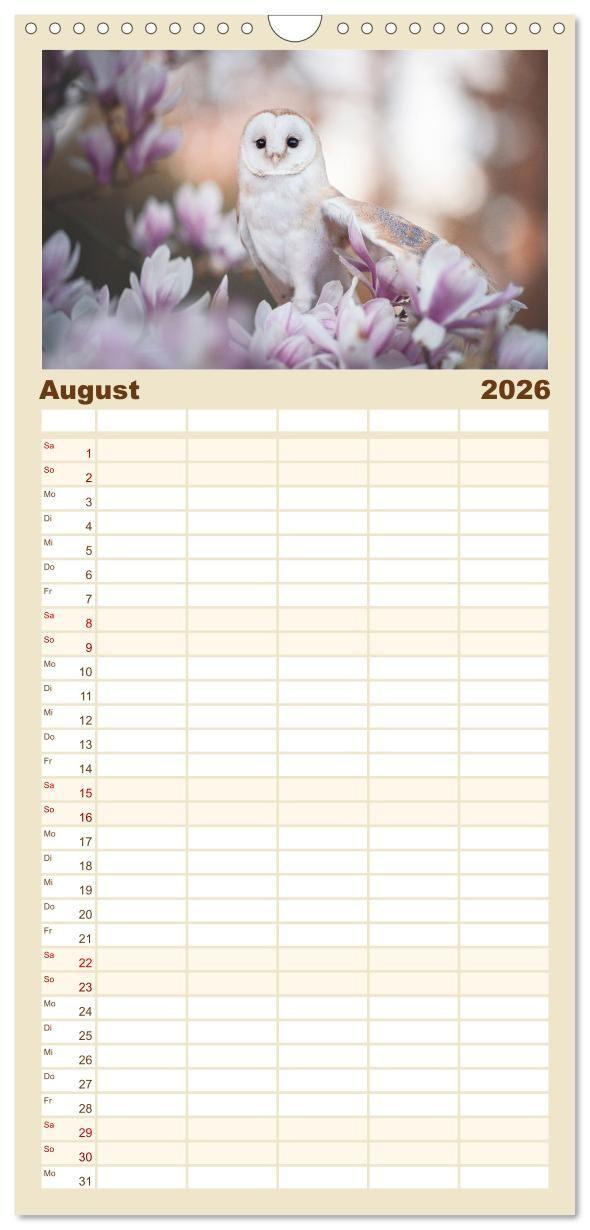 Beispielinhalt (Bild) Familienplaner 2026 - Eulen - schön und geheimnisvoll mit 5 Spalten (Wandkalender, 21 x 45 cm) CALVENDO