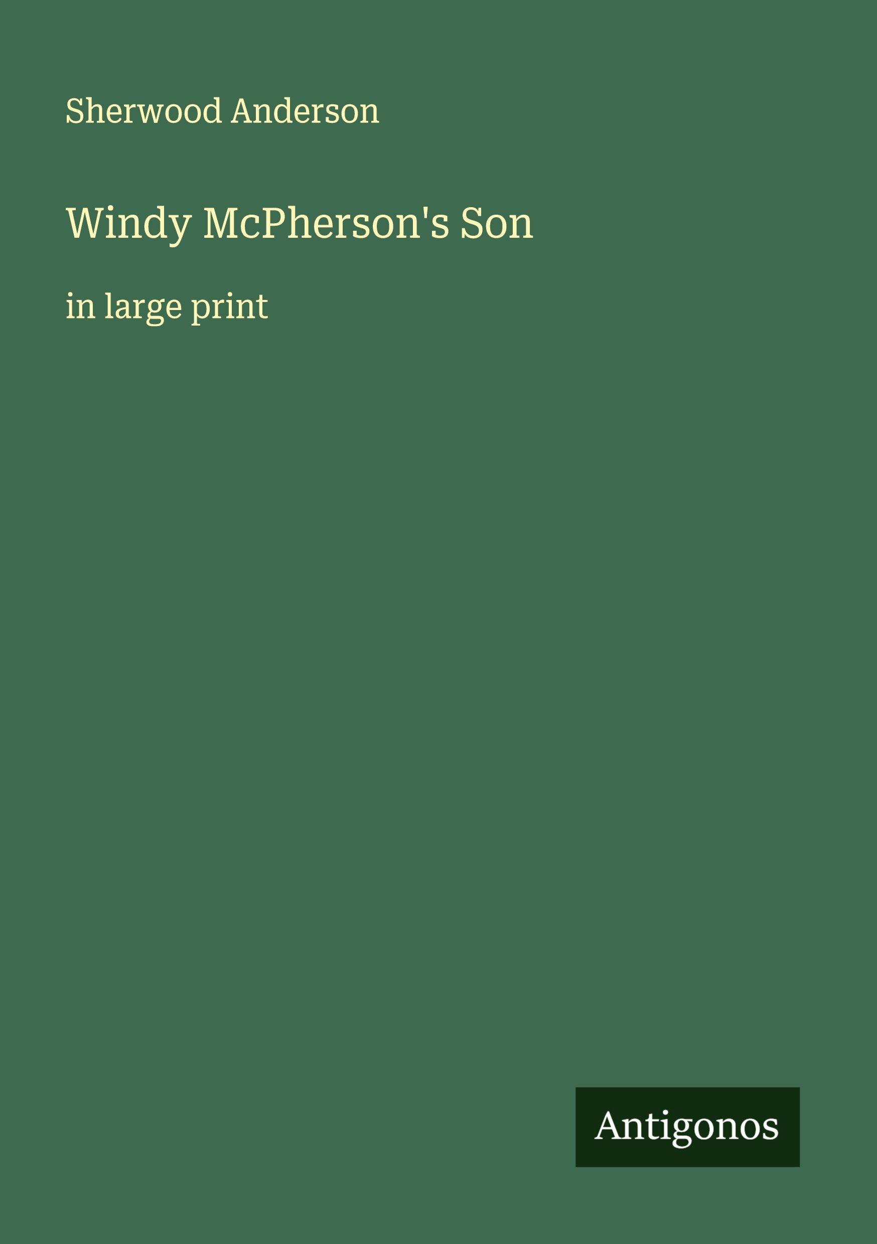 Vorderes Coverbild Windy McPherson's Son