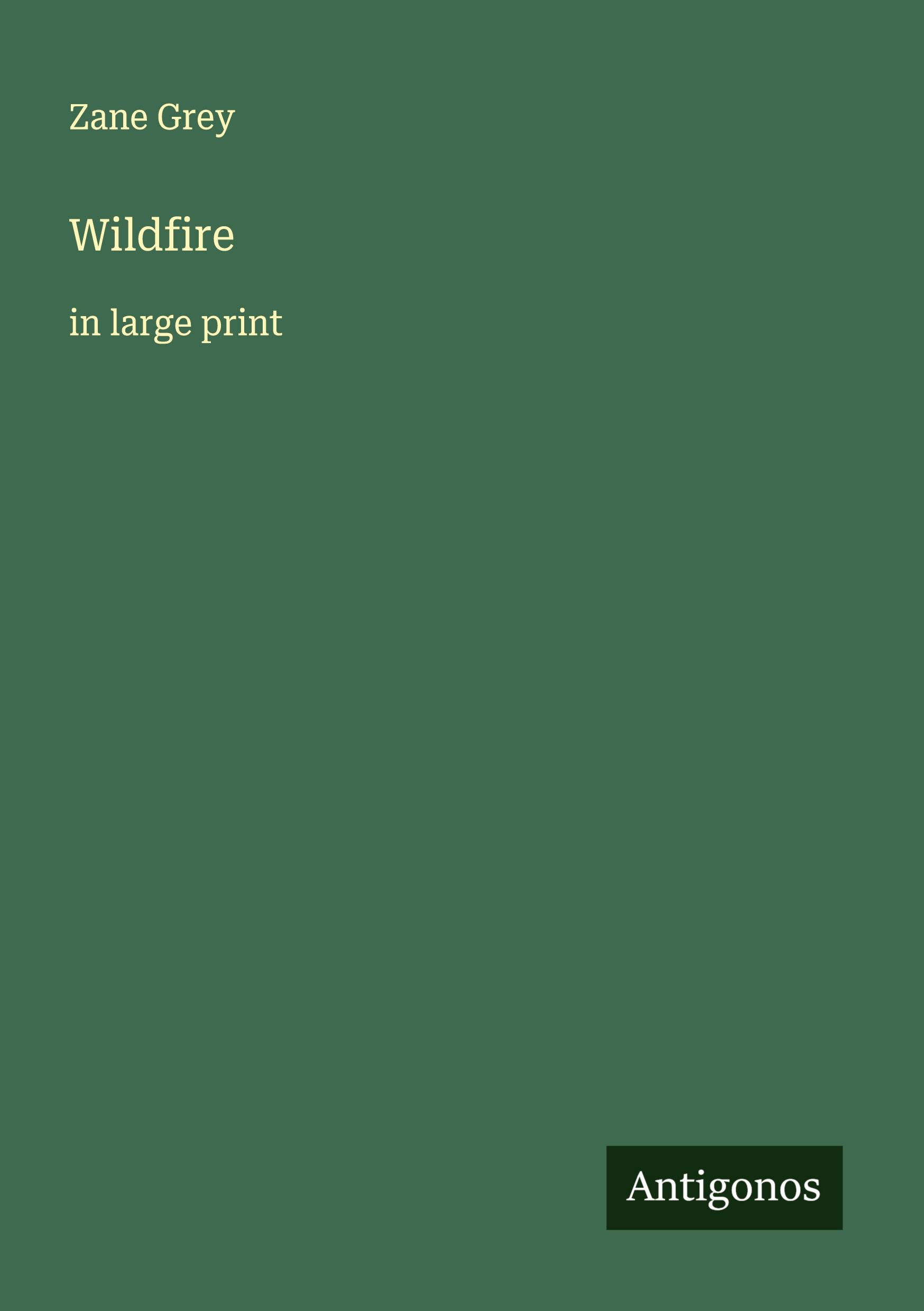 Vorderes Coverbild Wildfire