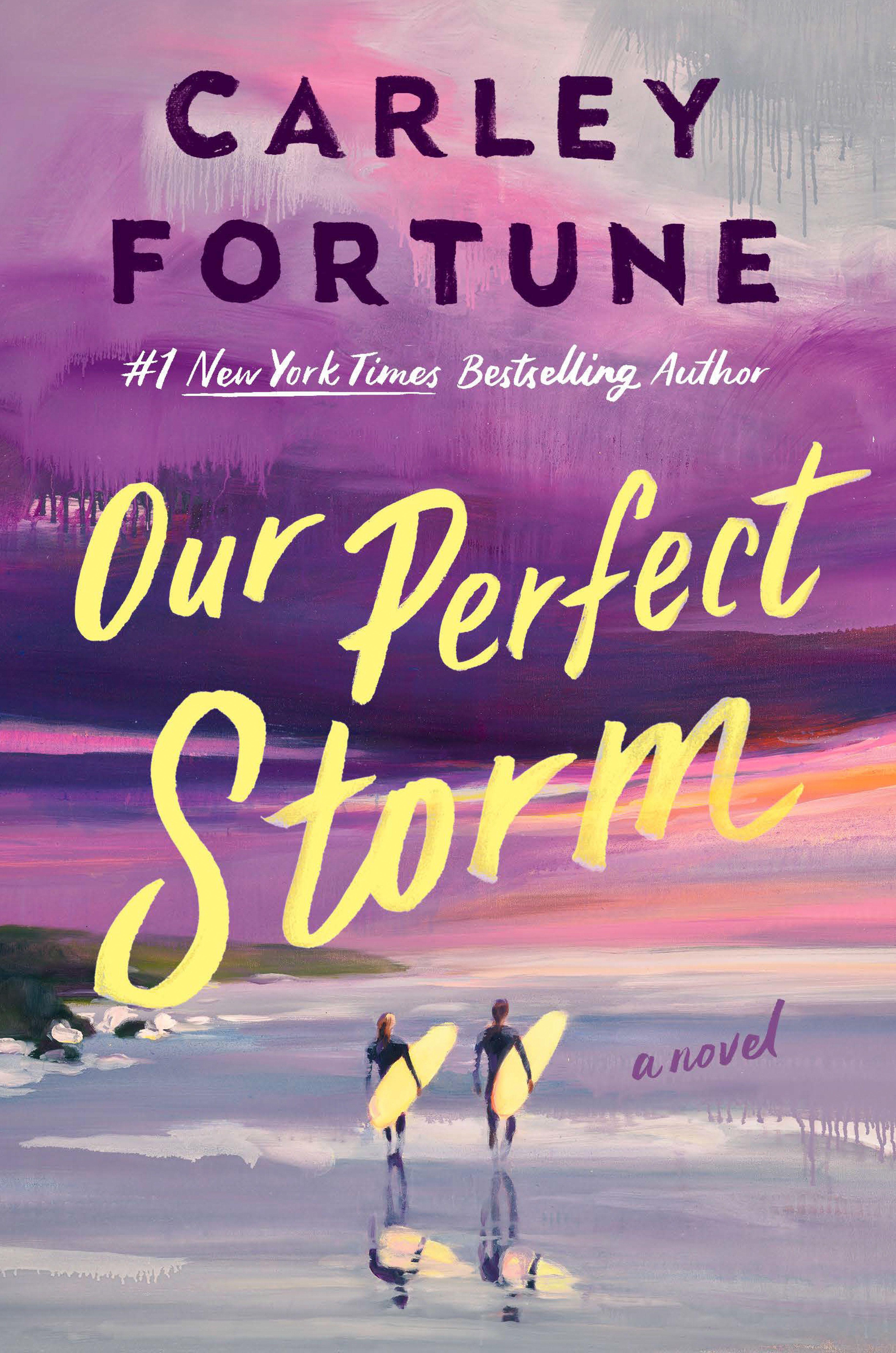 Vorderes Coverbild Our Perfect Storm