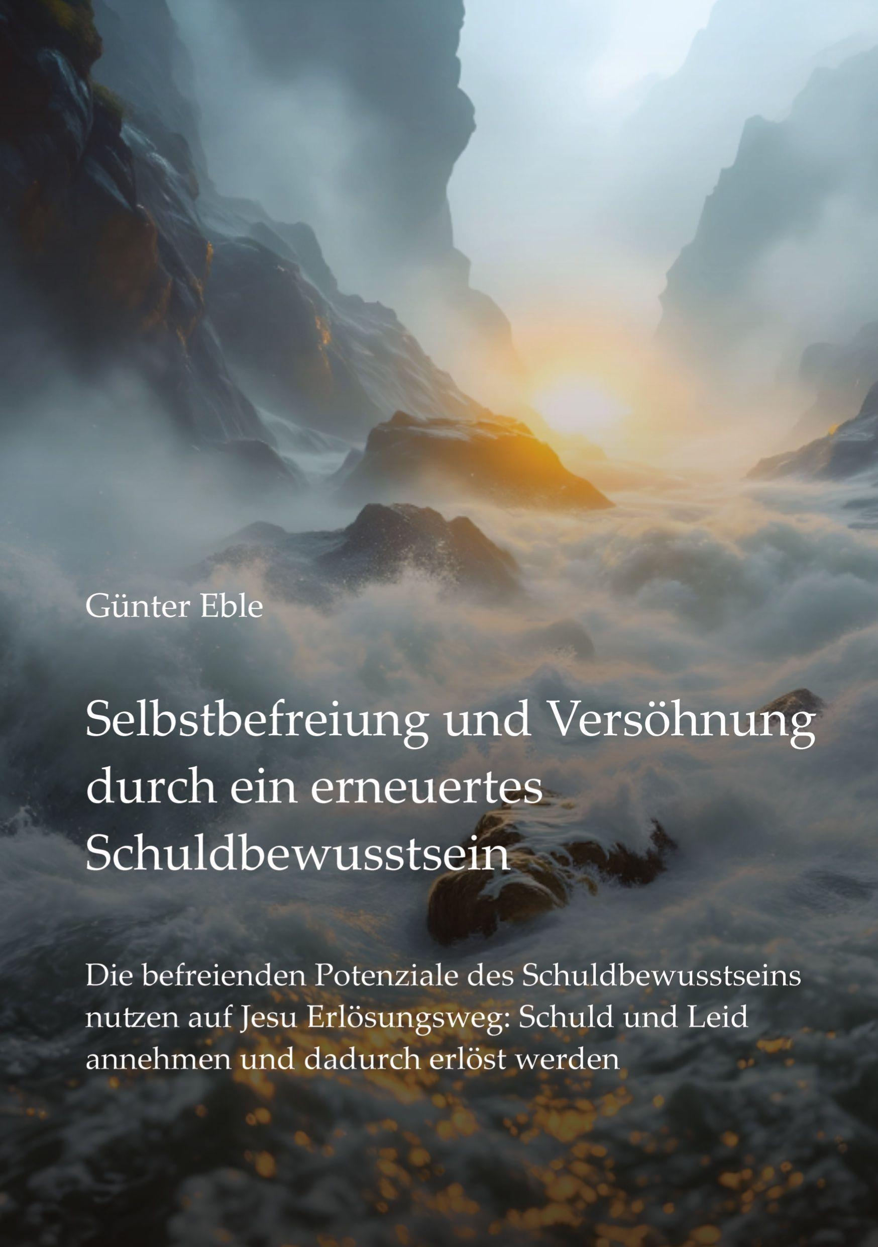 Vorderes Coverbild Selbstbefreiung und Versöhnung durch ein erneuertes Schuldbewusstsein