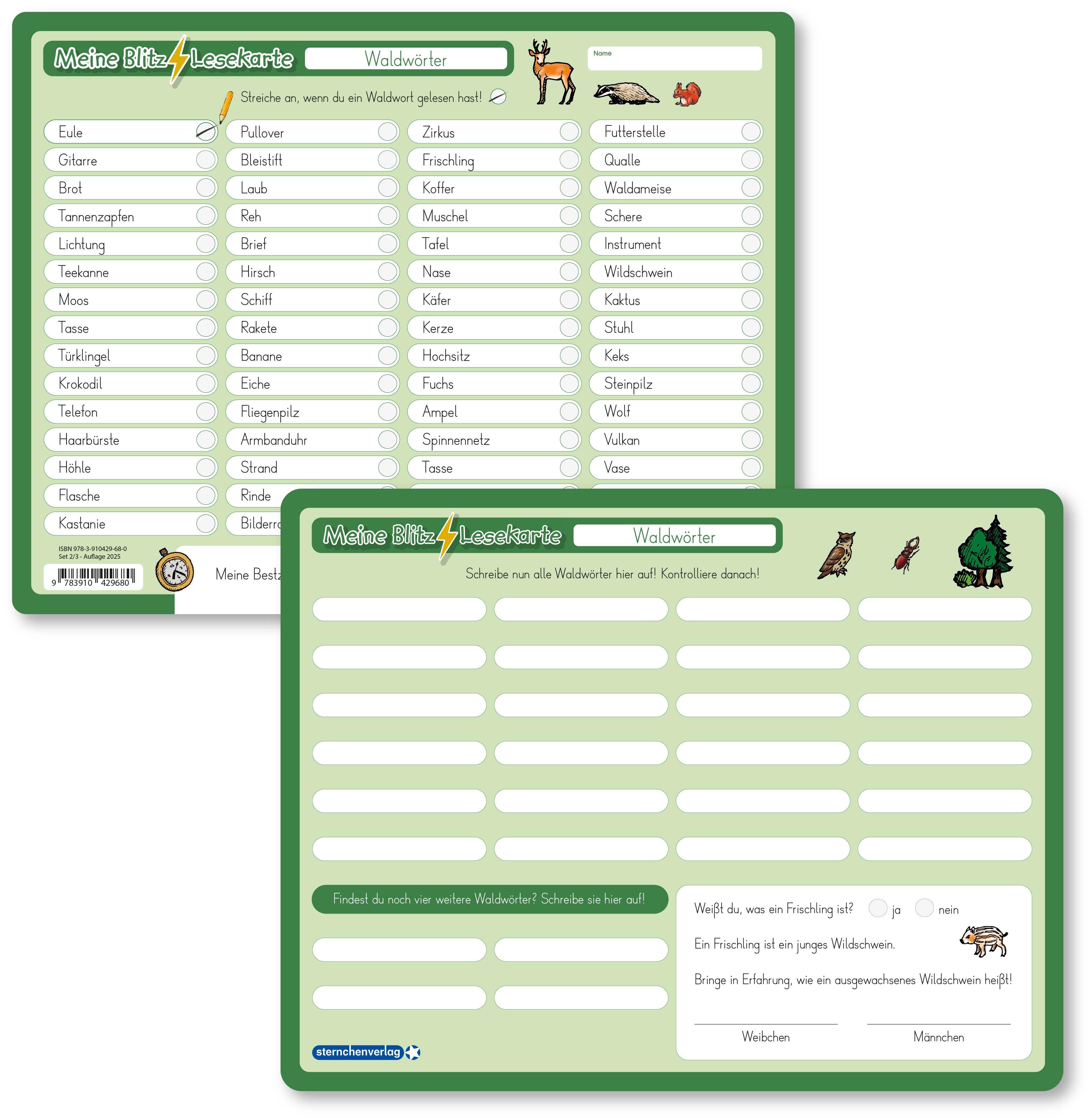 Beispielinhalt (Bild) Meine Blitzlesekarten - Suchwörter