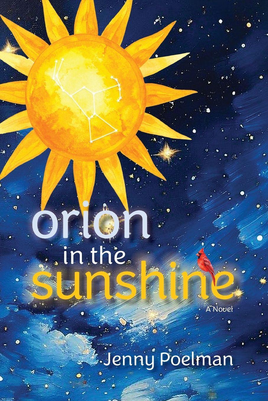 Vorderes Coverbild Orion in the Sunshine