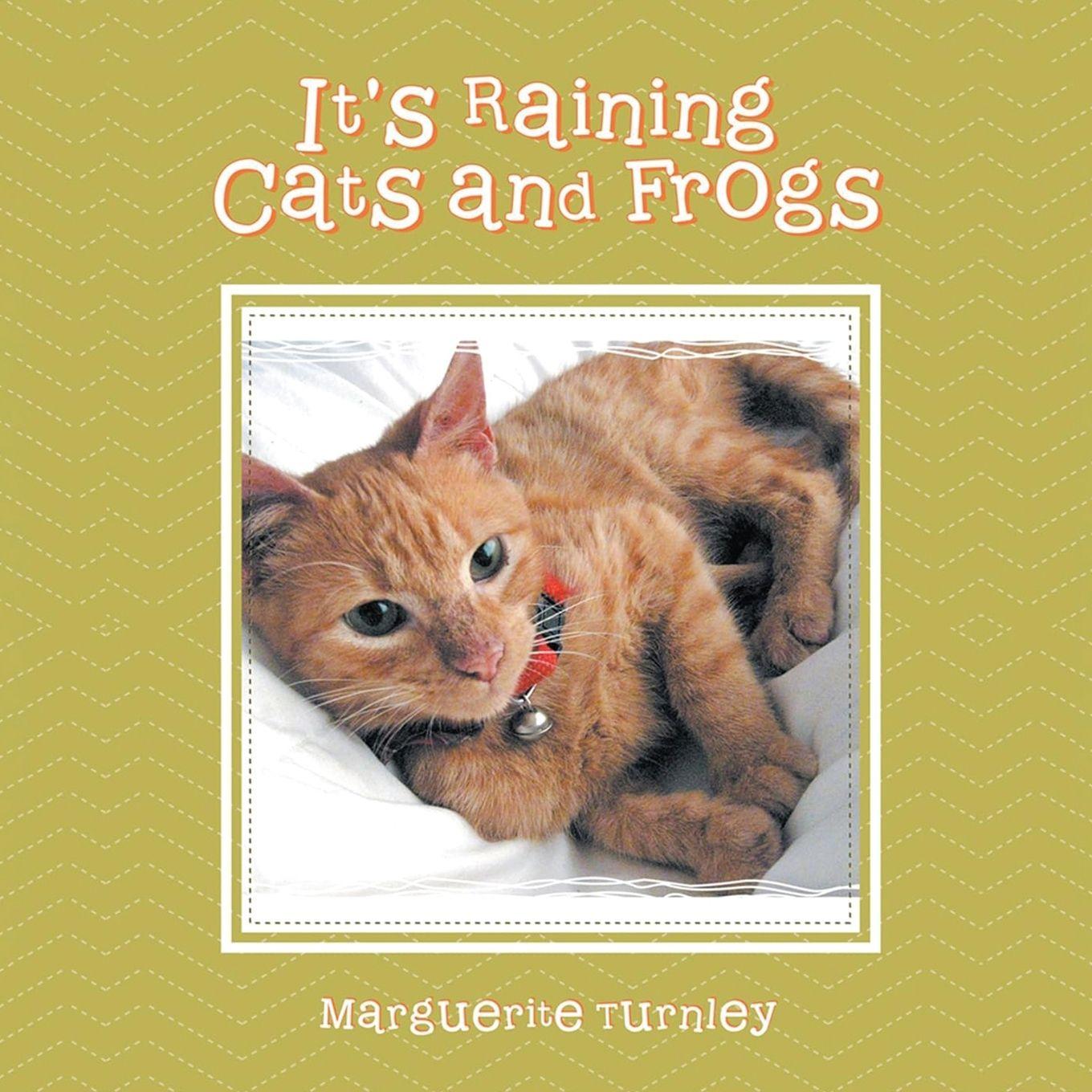 Vorderes Coverbild It's Raining Cats and Frogs
