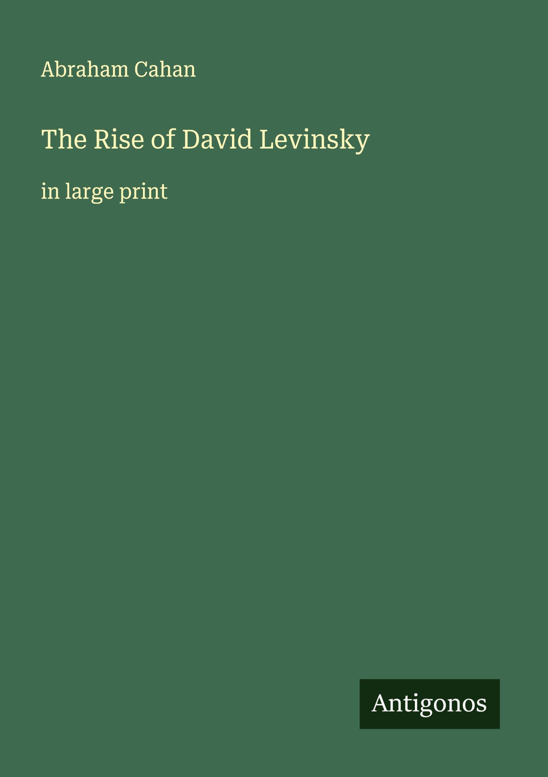 Vorderes Coverbild The Rise of David Levinsky