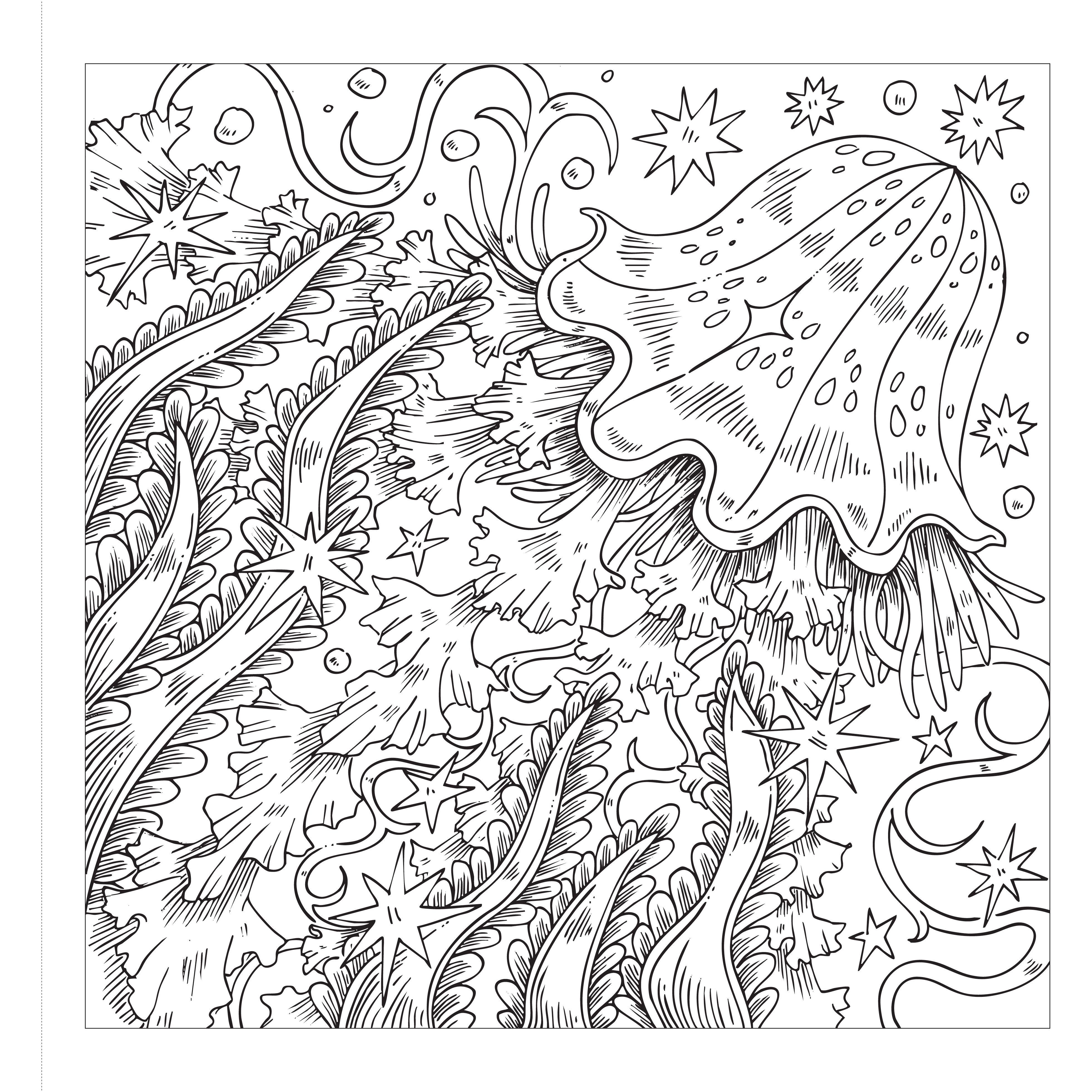 Beispielinhalt (Bild) Starcana: Wavesong