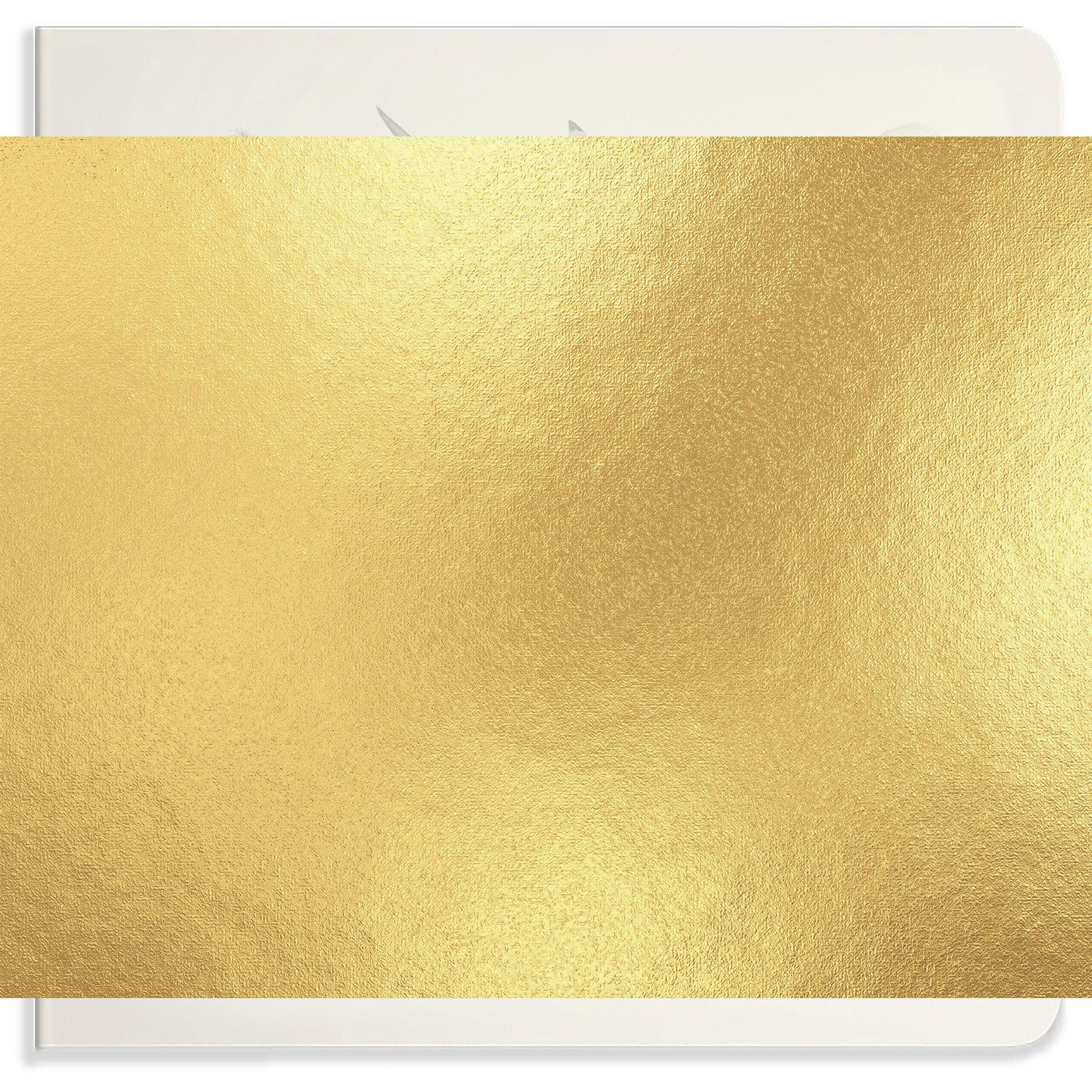 Vorderes Coverbild Our Big Book of Animals