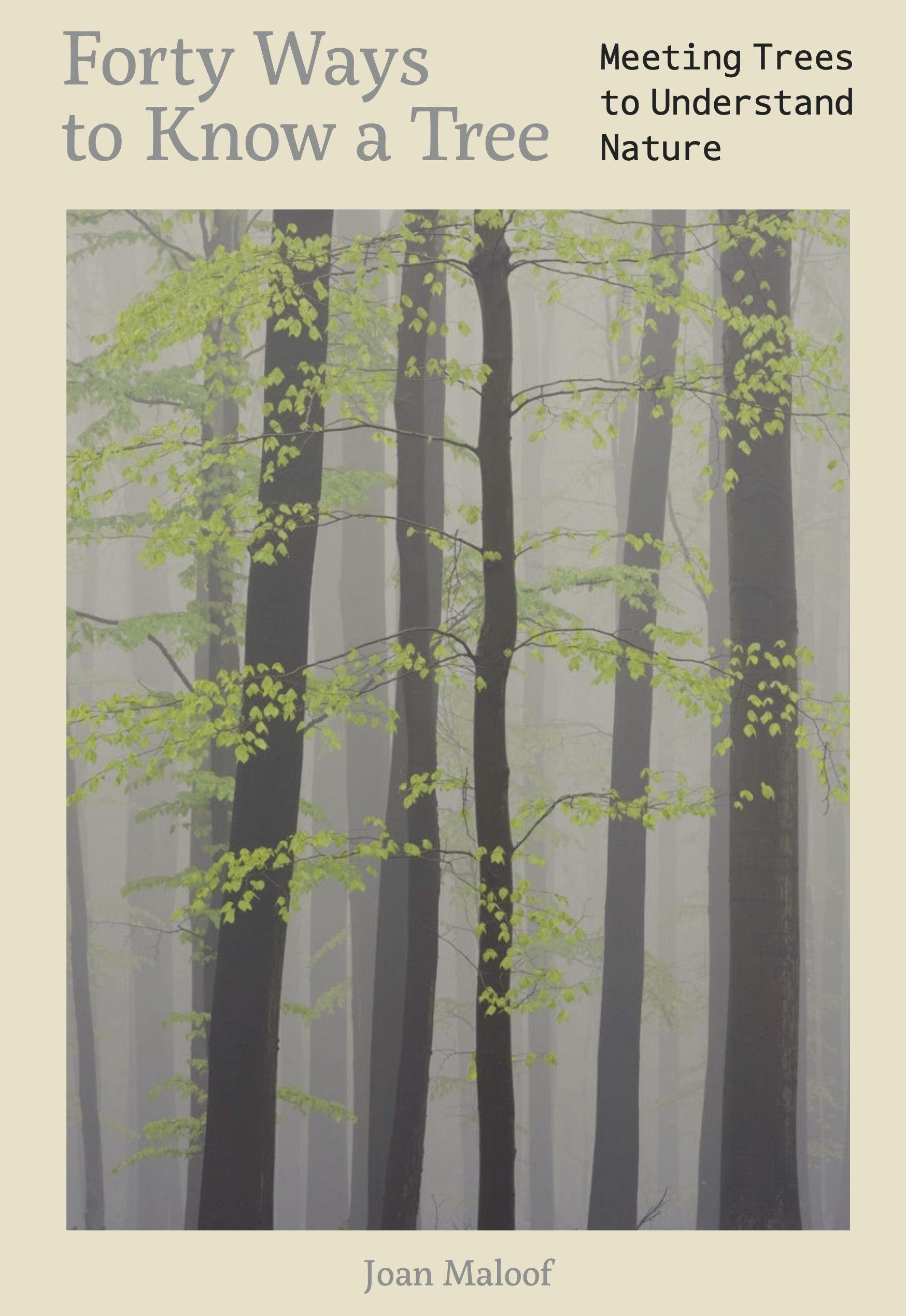 Vorderes Coverbild Forty Ways to Know a Tree