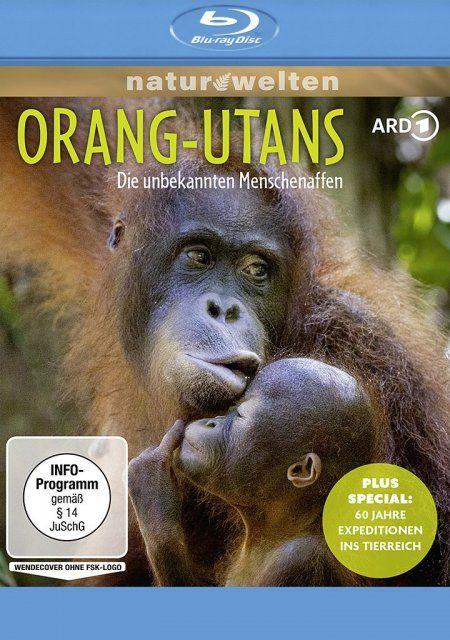 Vorderes Coverbild Orang-Utans - Die unbekannten Menschenaffen + Plus Special: 60 Jahre Expeditionen ins Tierreich