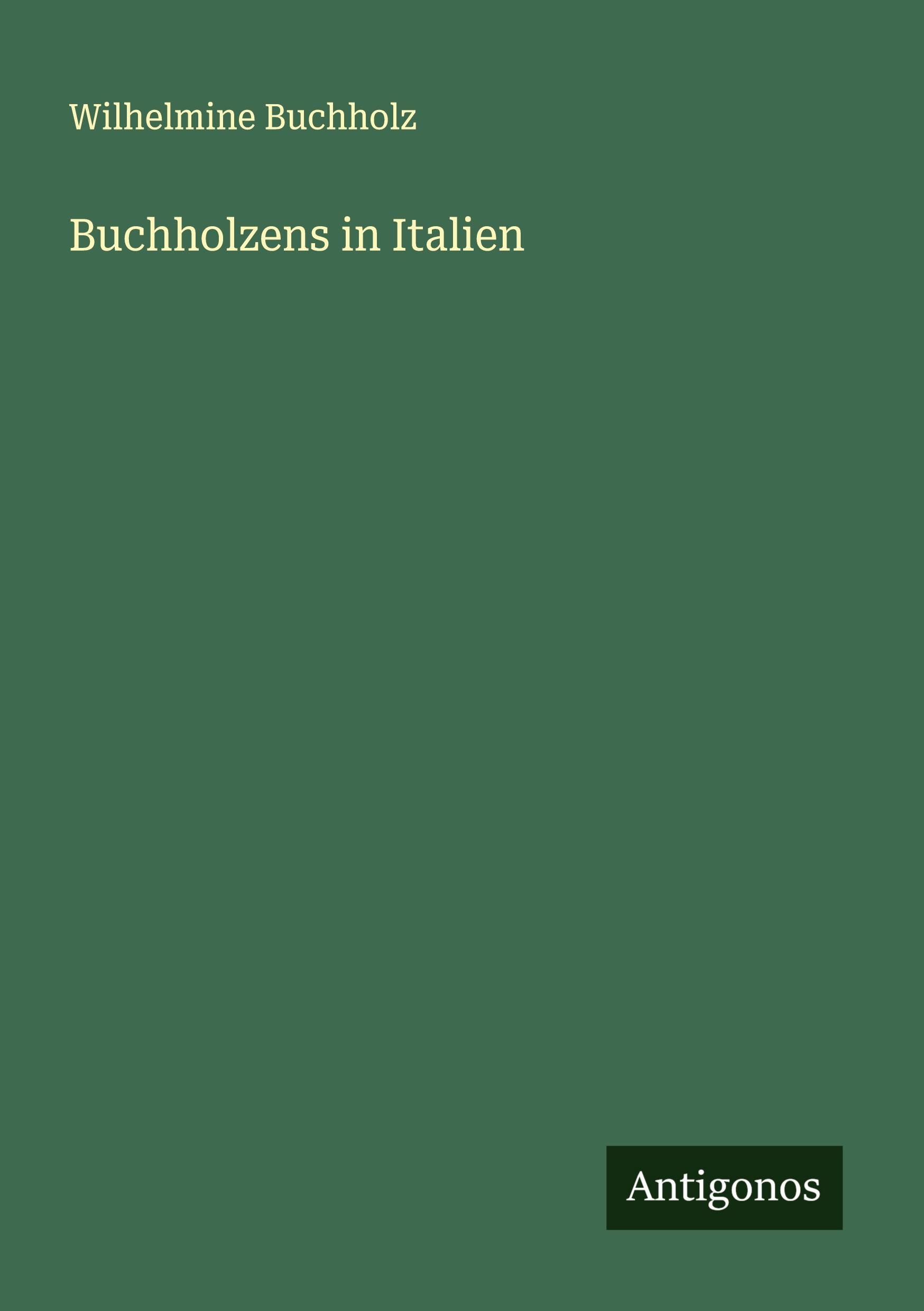 Vorderes Coverbild Buchholzens in Italien