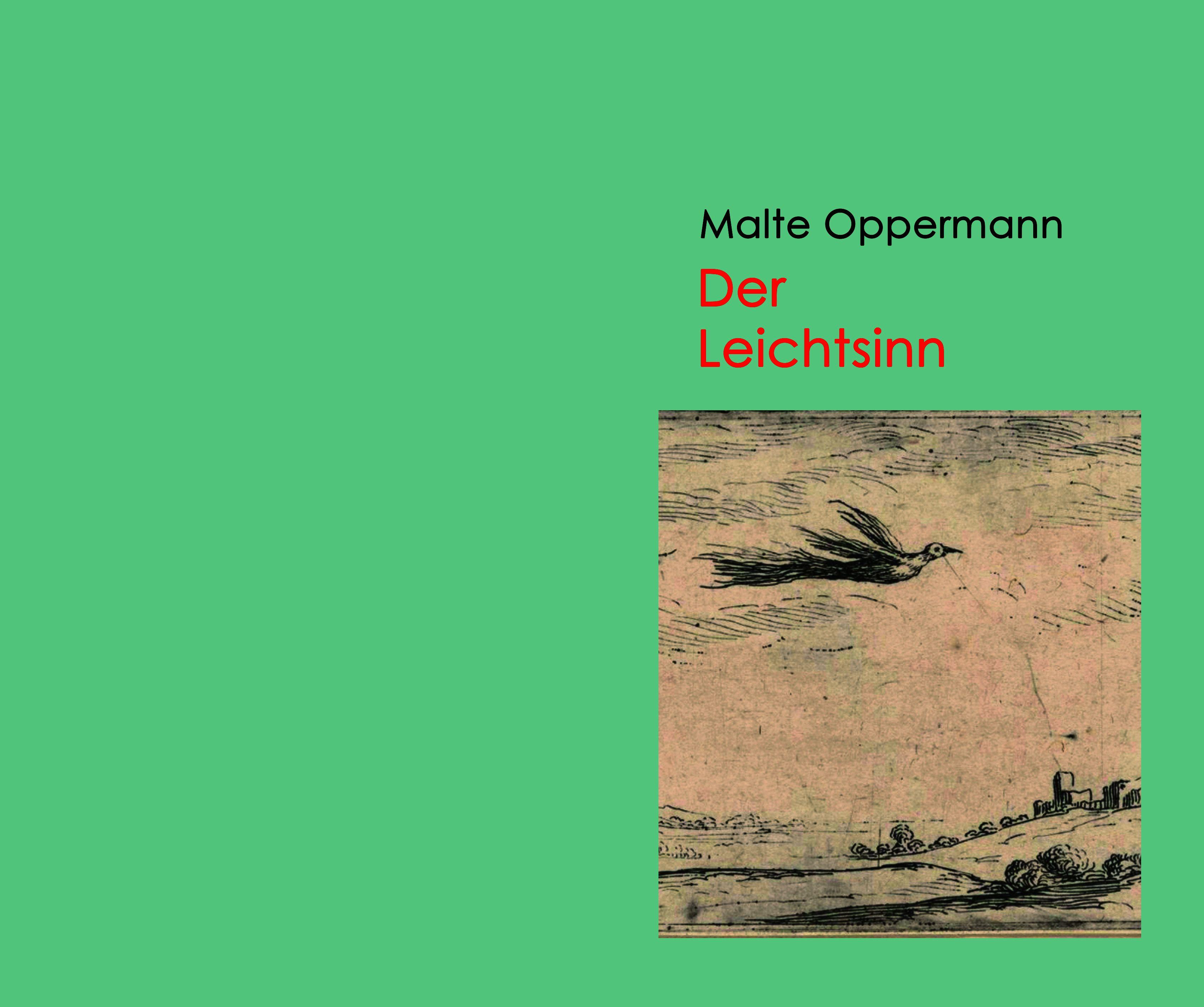 Vorderes Coverbild Der Leichtsinn