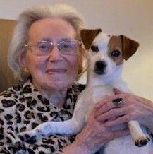 Autorenbild Die Reise der blauen Kojoten