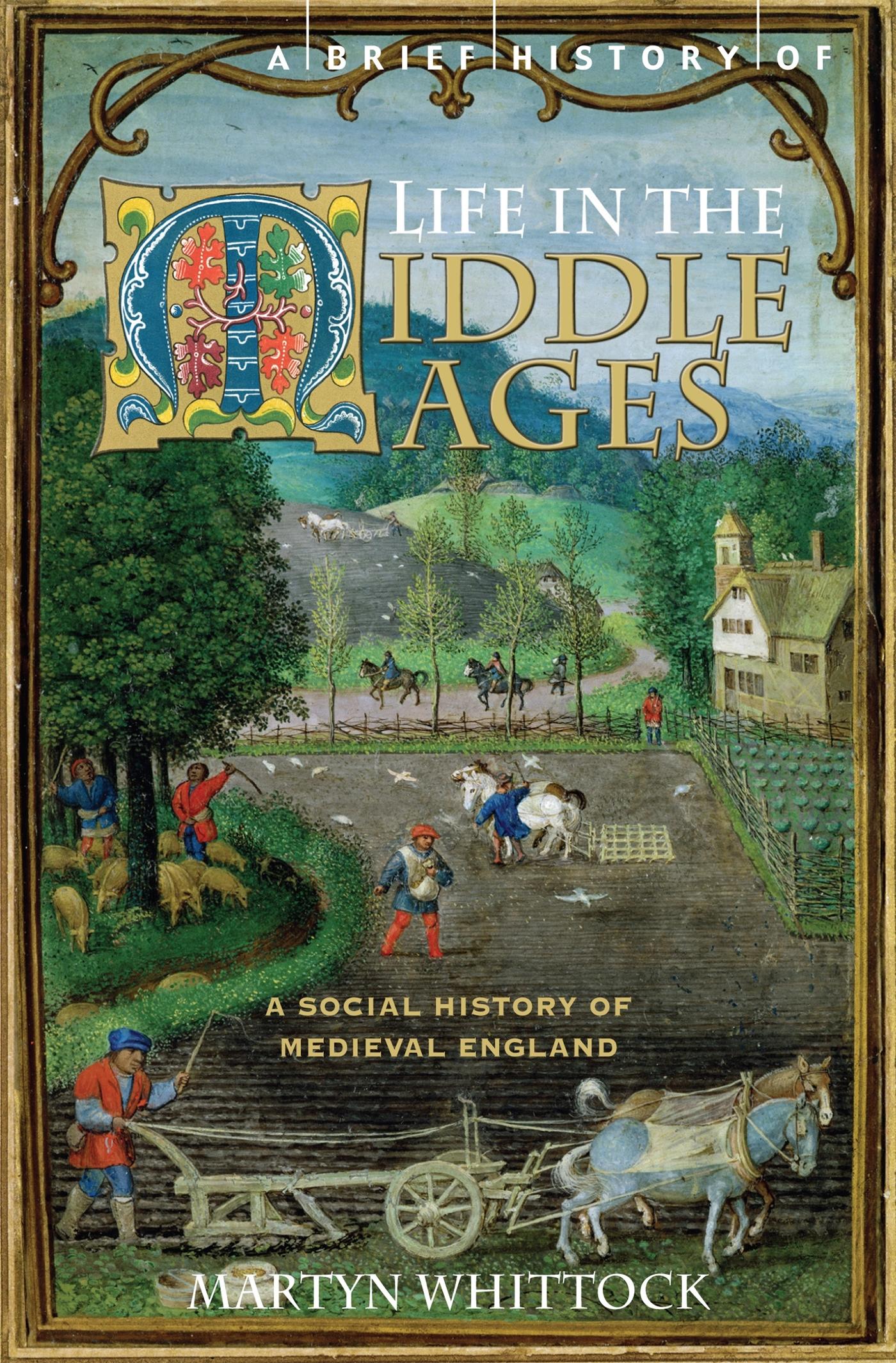 Vorderes Coverbild A Brief History of Life in the Middle Ages