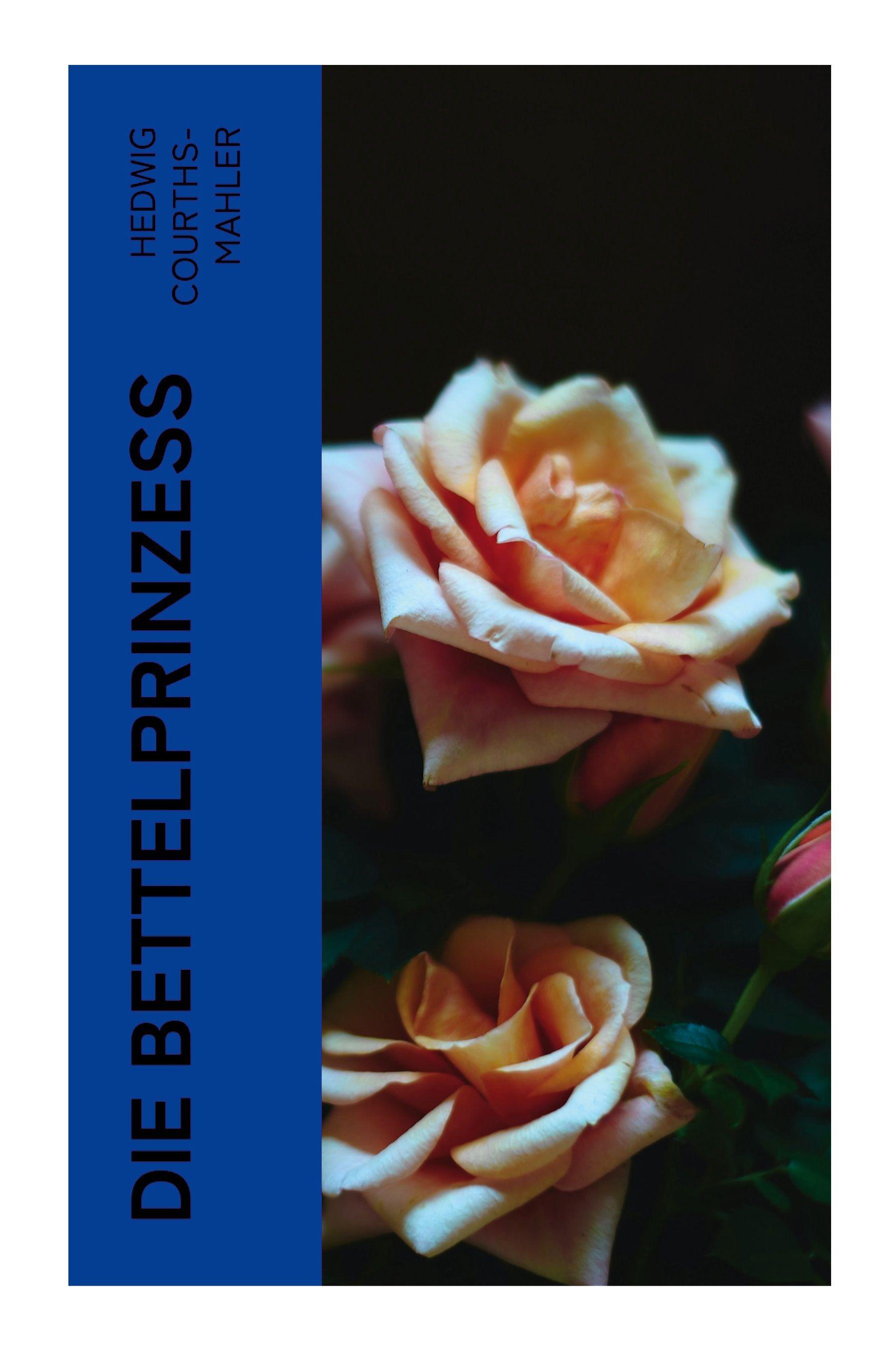 Vorderes Coverbild Die Bettelprinzeß