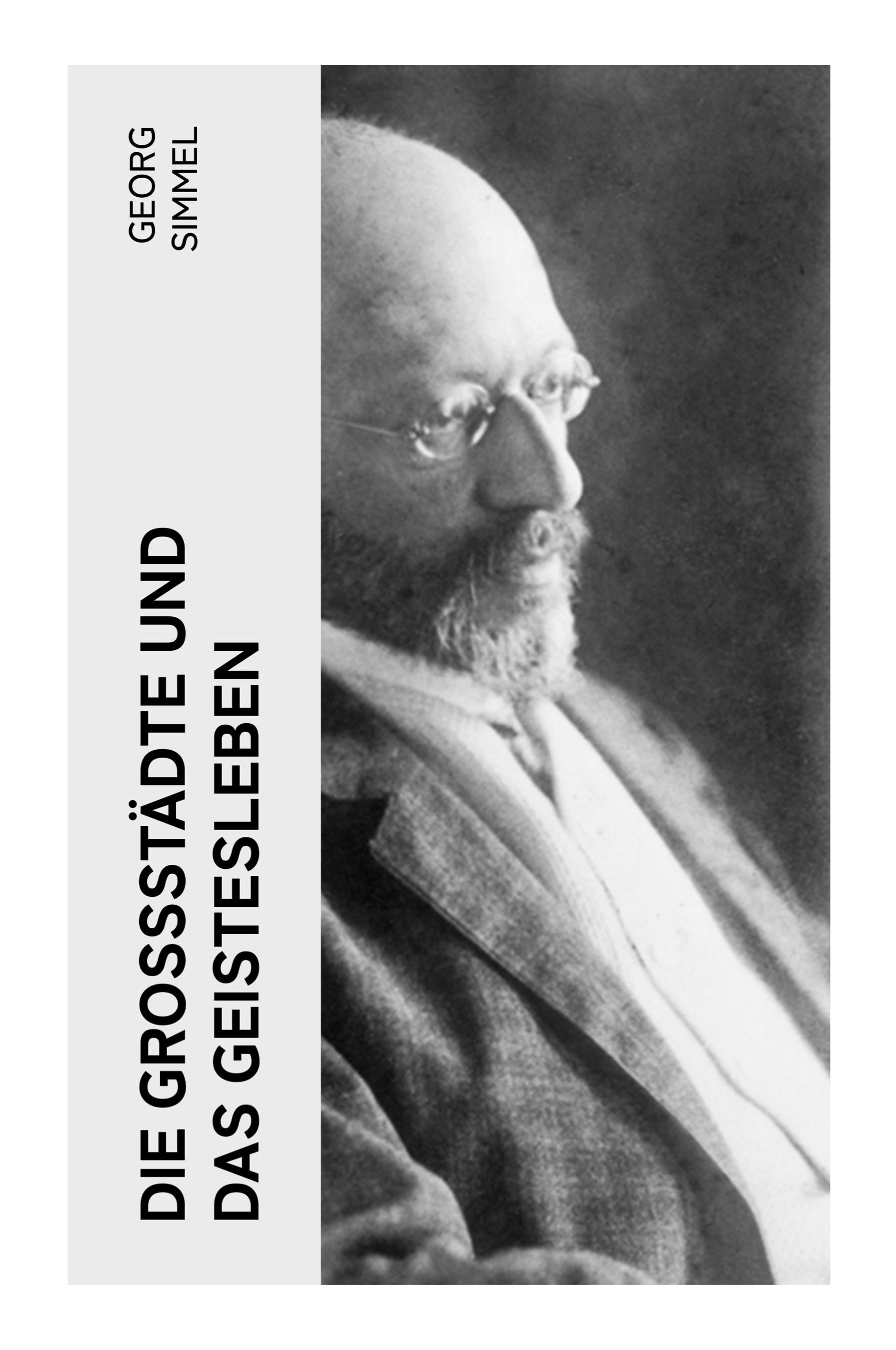 Vorderes Coverbild Die Großstädte und das Geistesleben