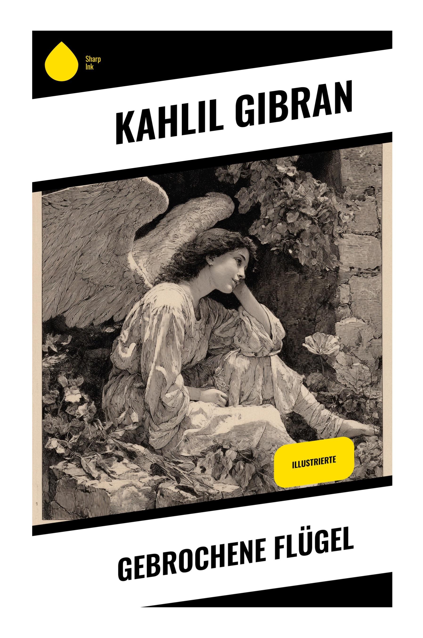 Vorderes Coverbild Gebrochene Flügel