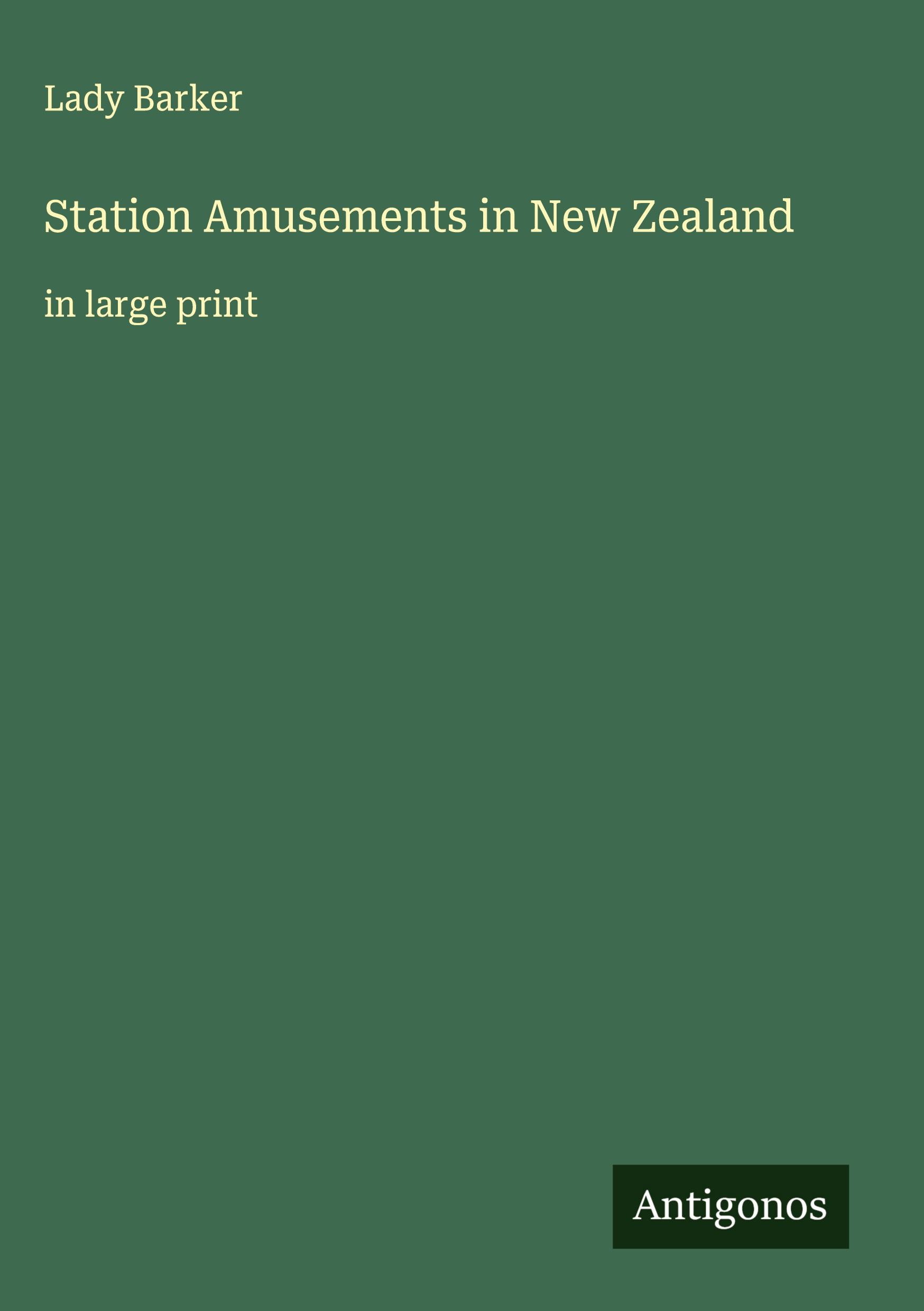 Vorderes Coverbild Station Amusements in New Zealand