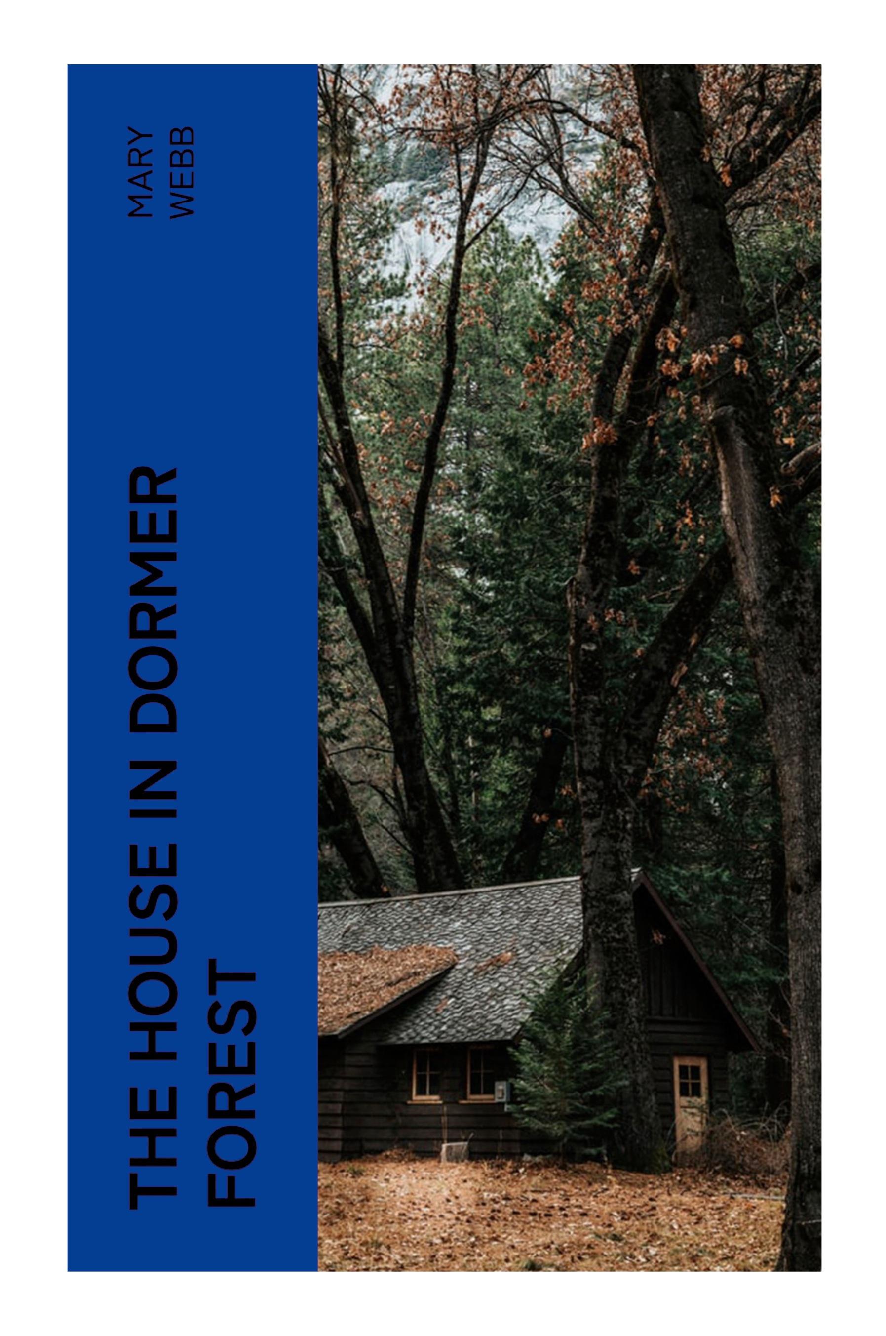 Vorderes Coverbild The House in Dormer Forest