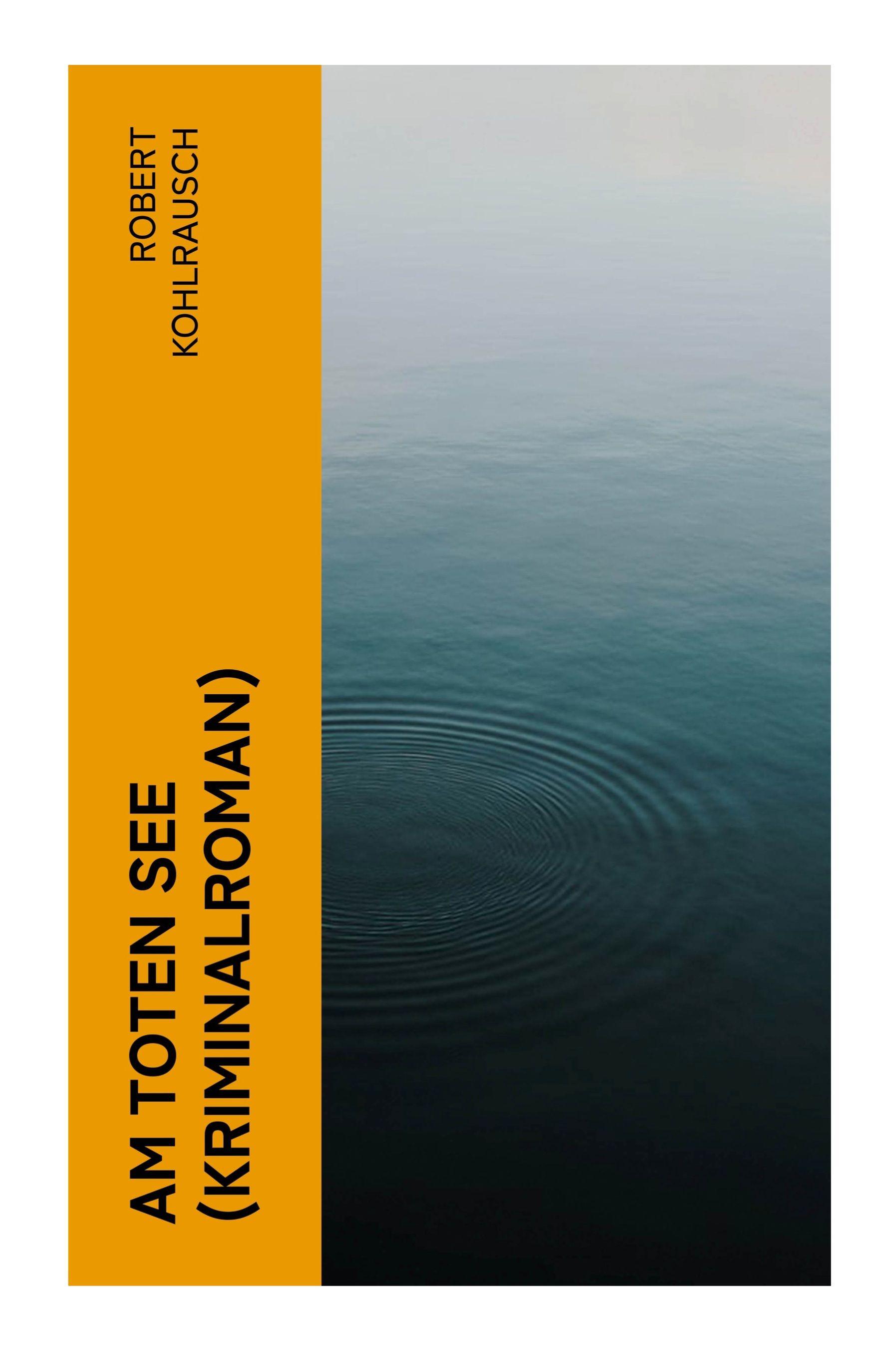 Vorderes Coverbild Am toten See (Kriminalroman)