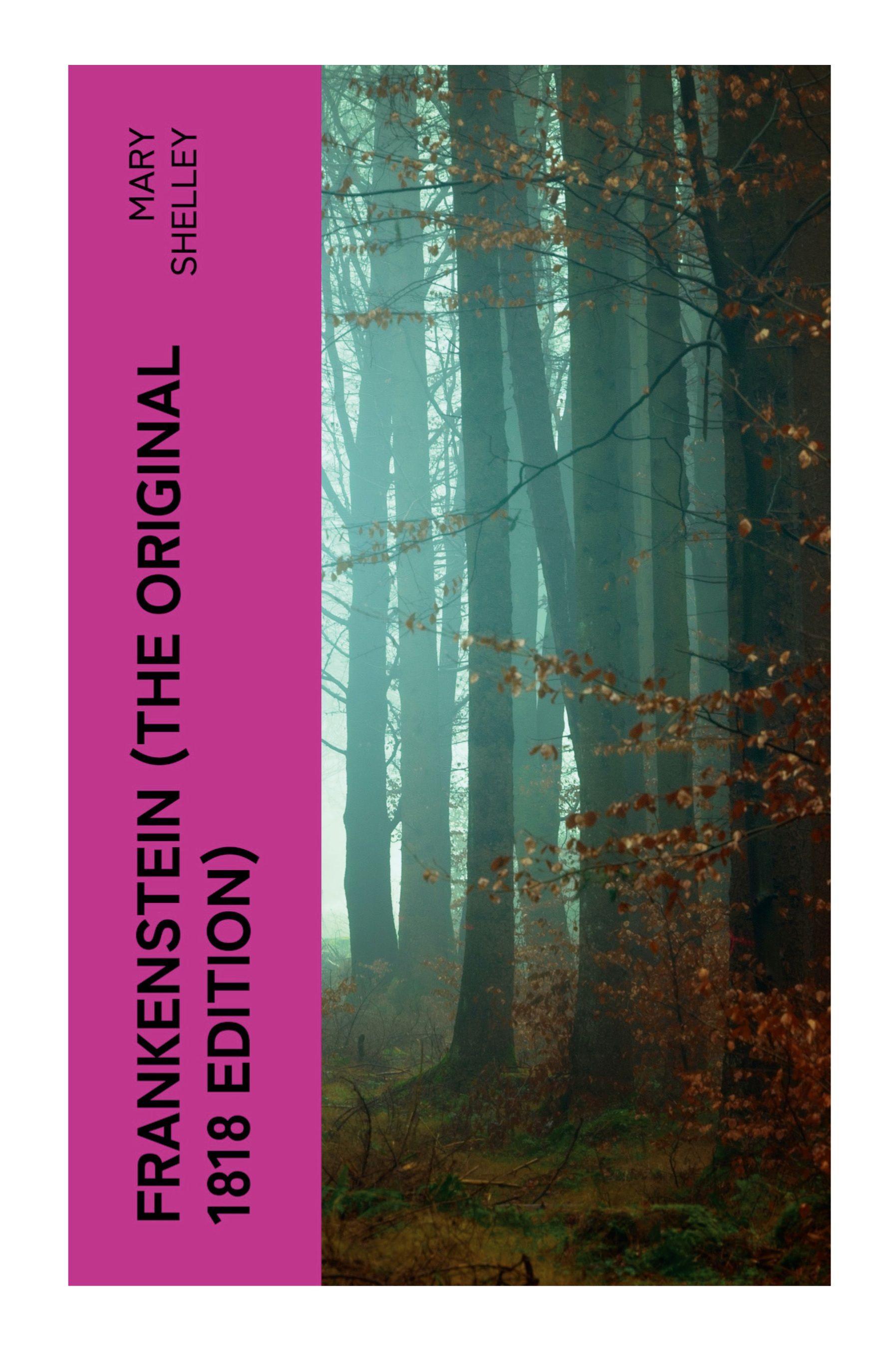 Vorderes Coverbild FRANKENSTEIN (The Original 1818 Edition)