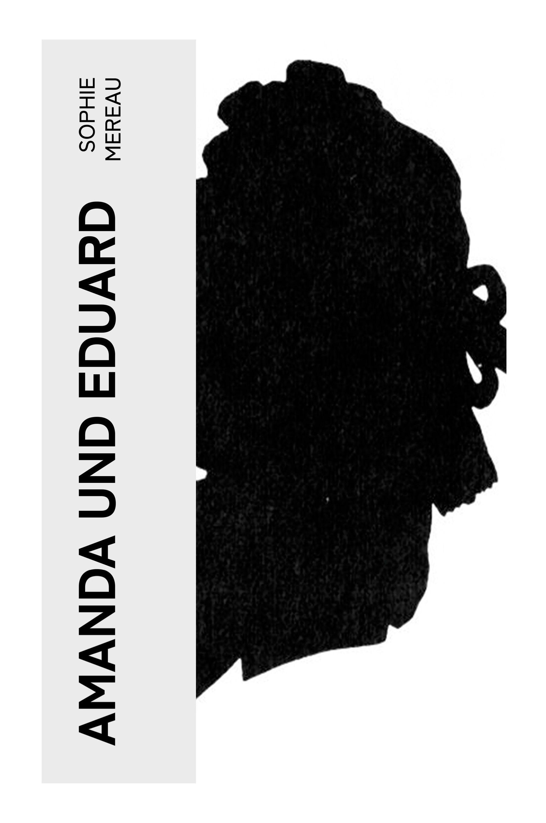 Vorderes Coverbild Amanda und Eduard