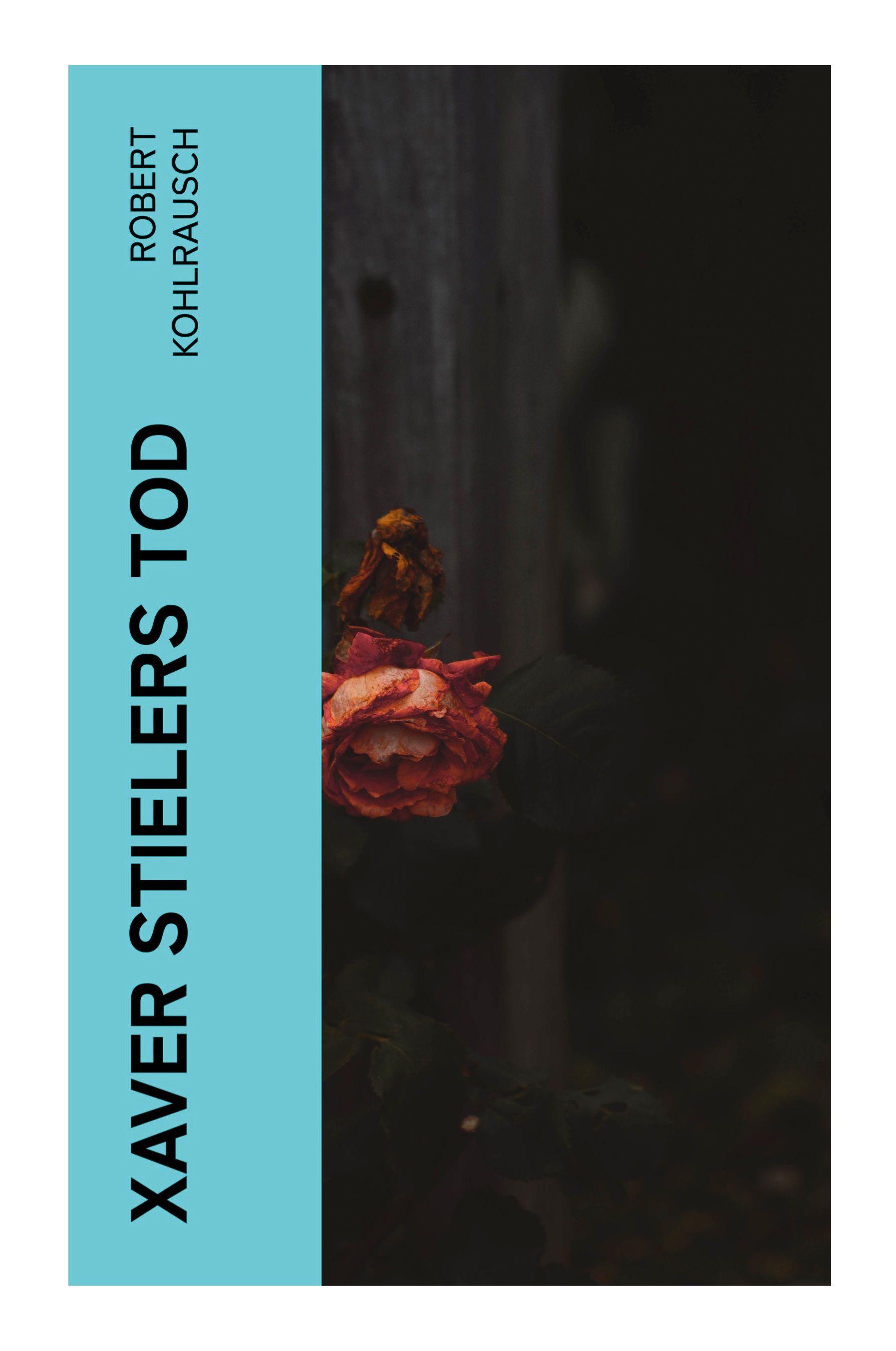 Vorderes Coverbild Xaver Stielers Tod