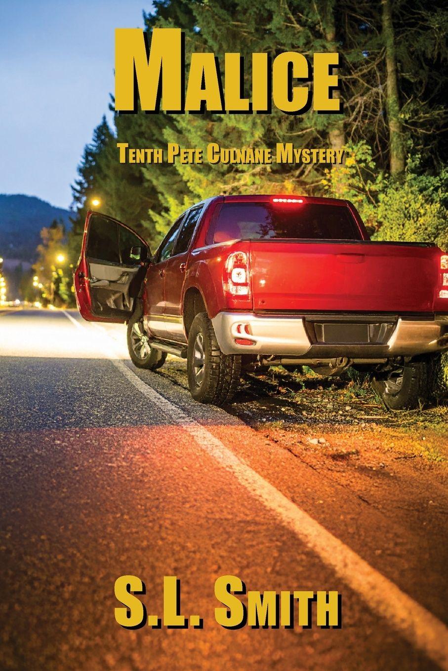 Vorderes Coverbild Malice