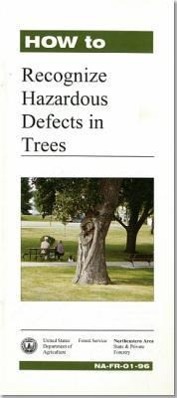 Vorderes Coverbild How to Recognize Hazardous Defects in Trees