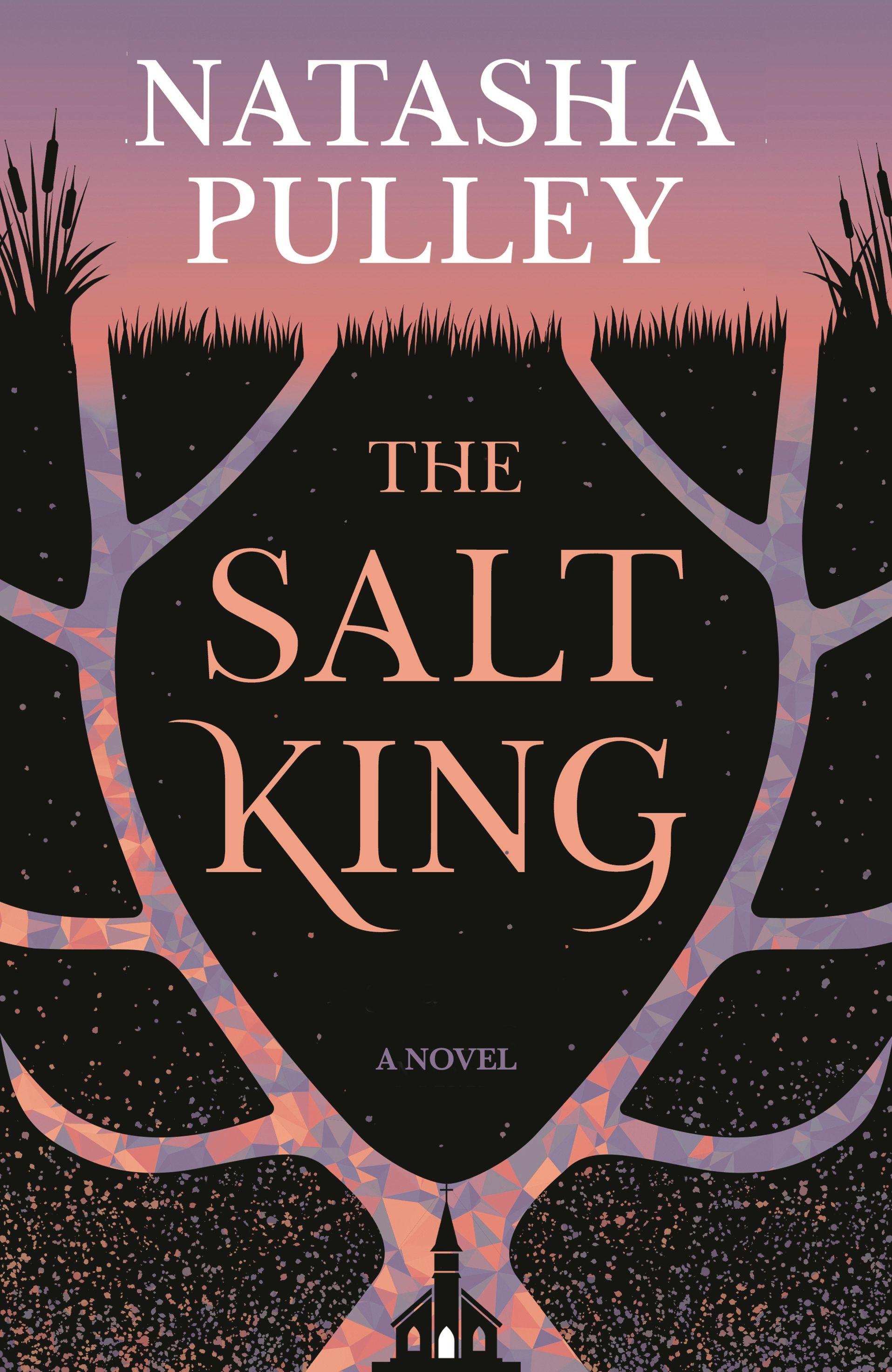 Vorderes Coverbild The Salt King