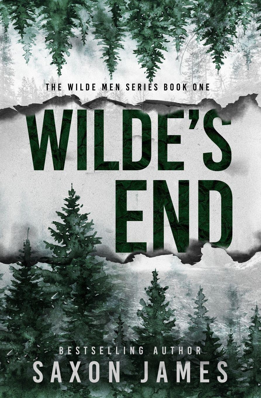Vorderes Coverbild Wilde's End