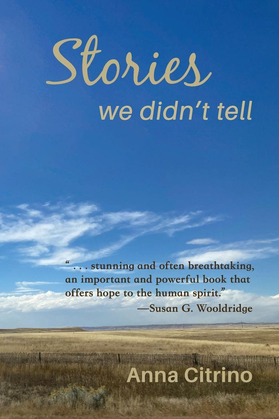 Vorderes Coverbild Stories We Didn't Tell