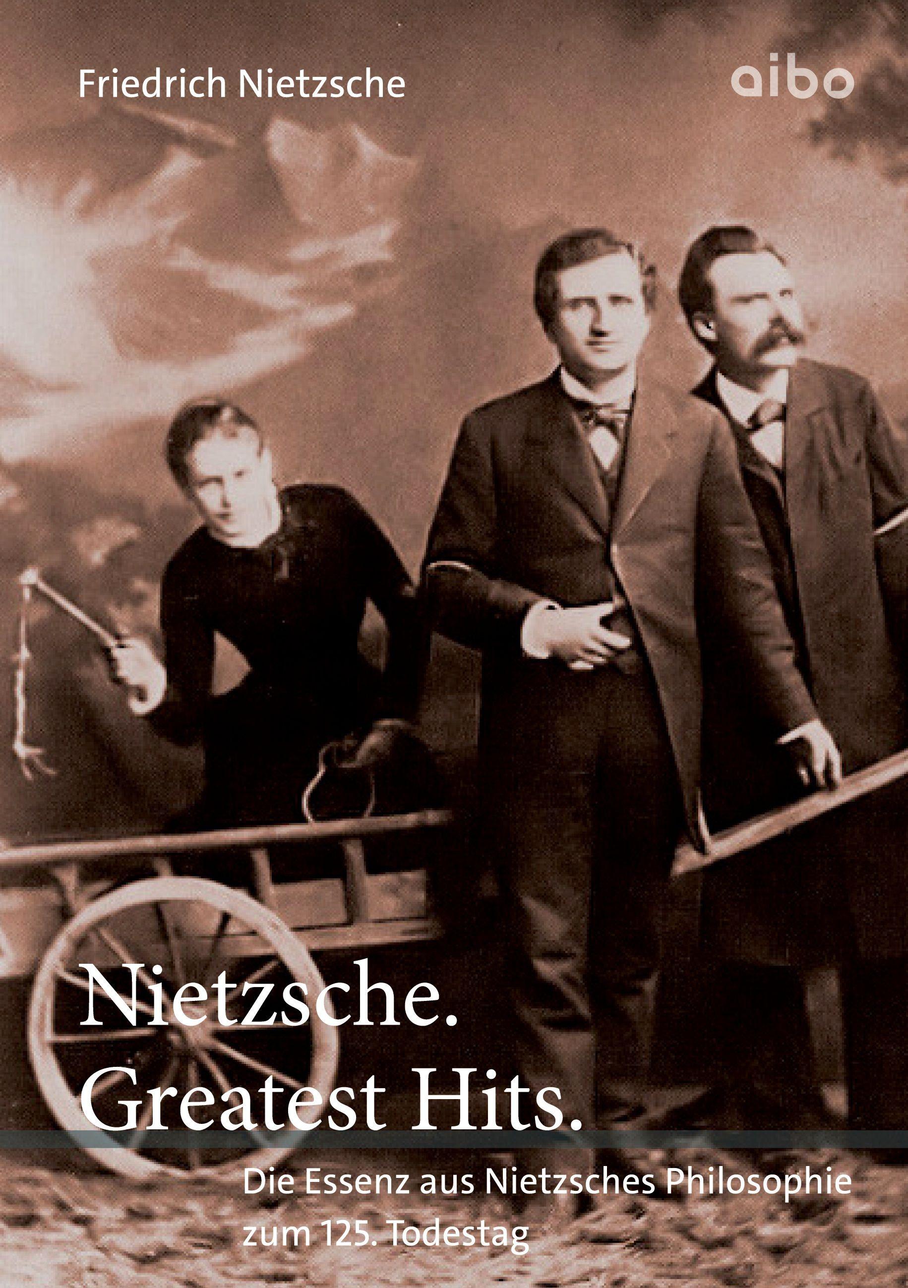 Vorderes Coverbild Nietzsche. Greatest Hits.