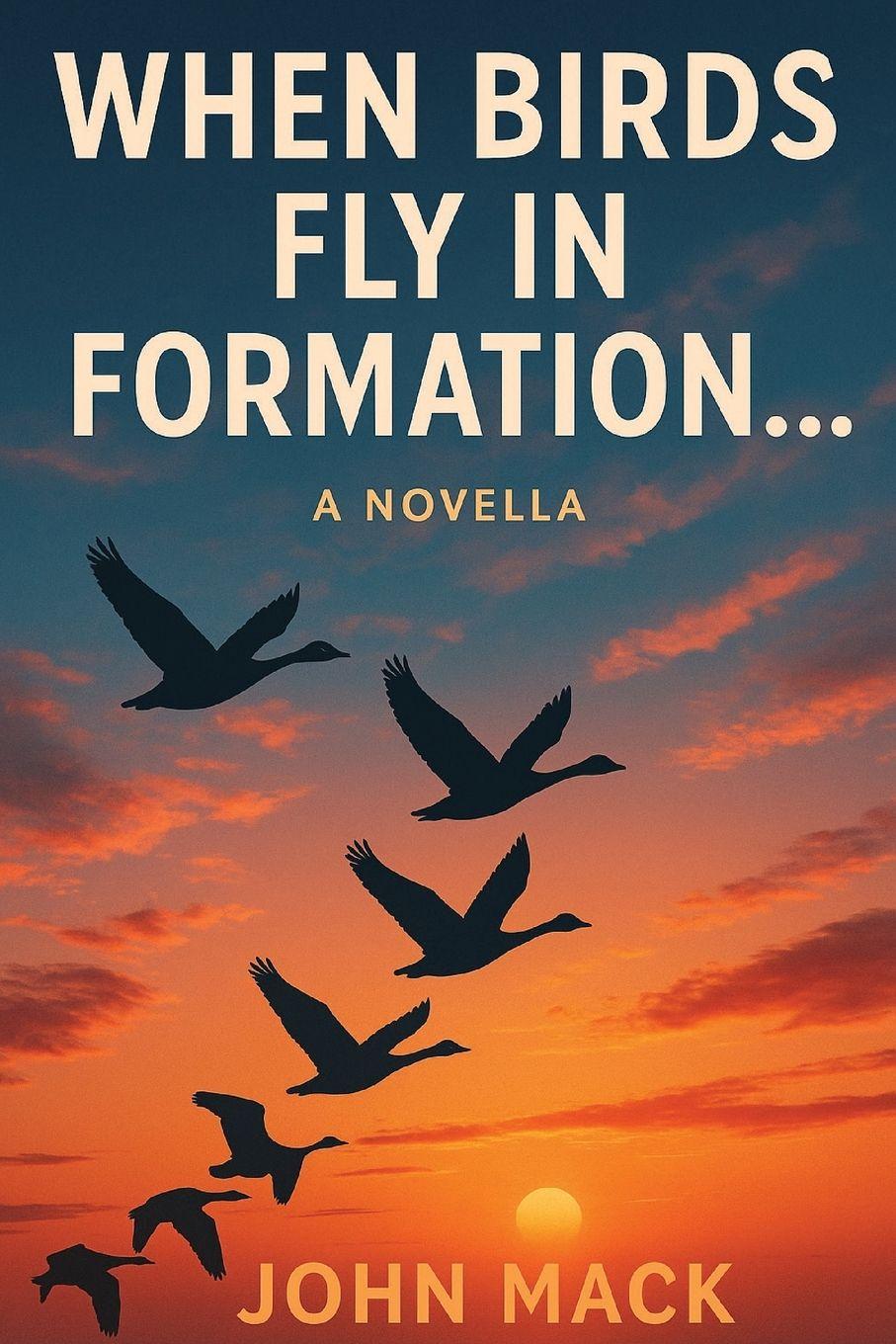 Vorderes Coverbild When Birds Fly In Formation