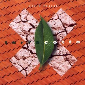 Vorderes Coverbild Terracotta