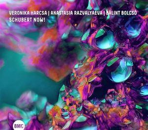 Vorderes Coverbild Schubert Now!